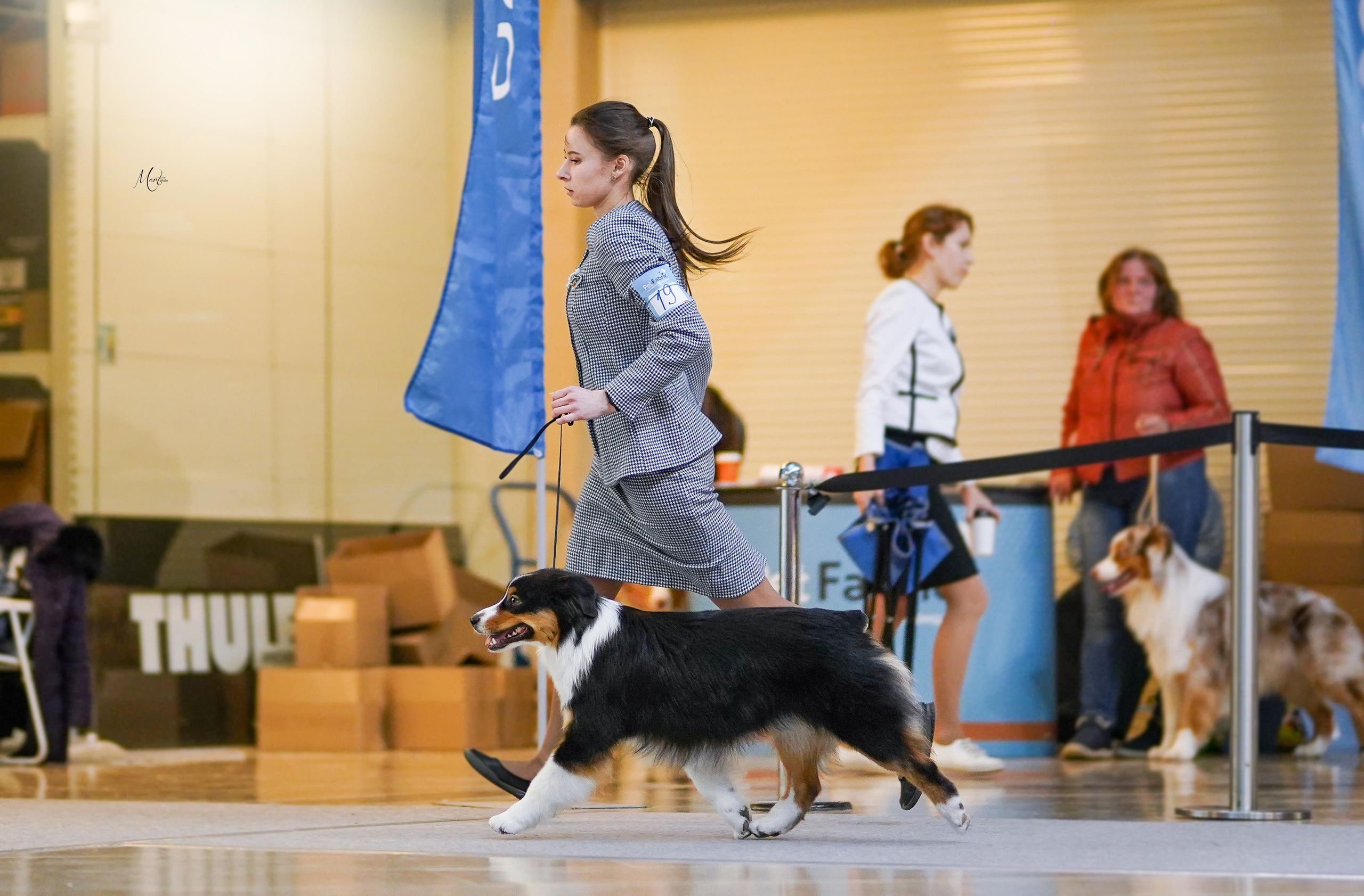 Выставки 2023. Фотограф-анималист в Санкт-Петербурге Яна Мартынова