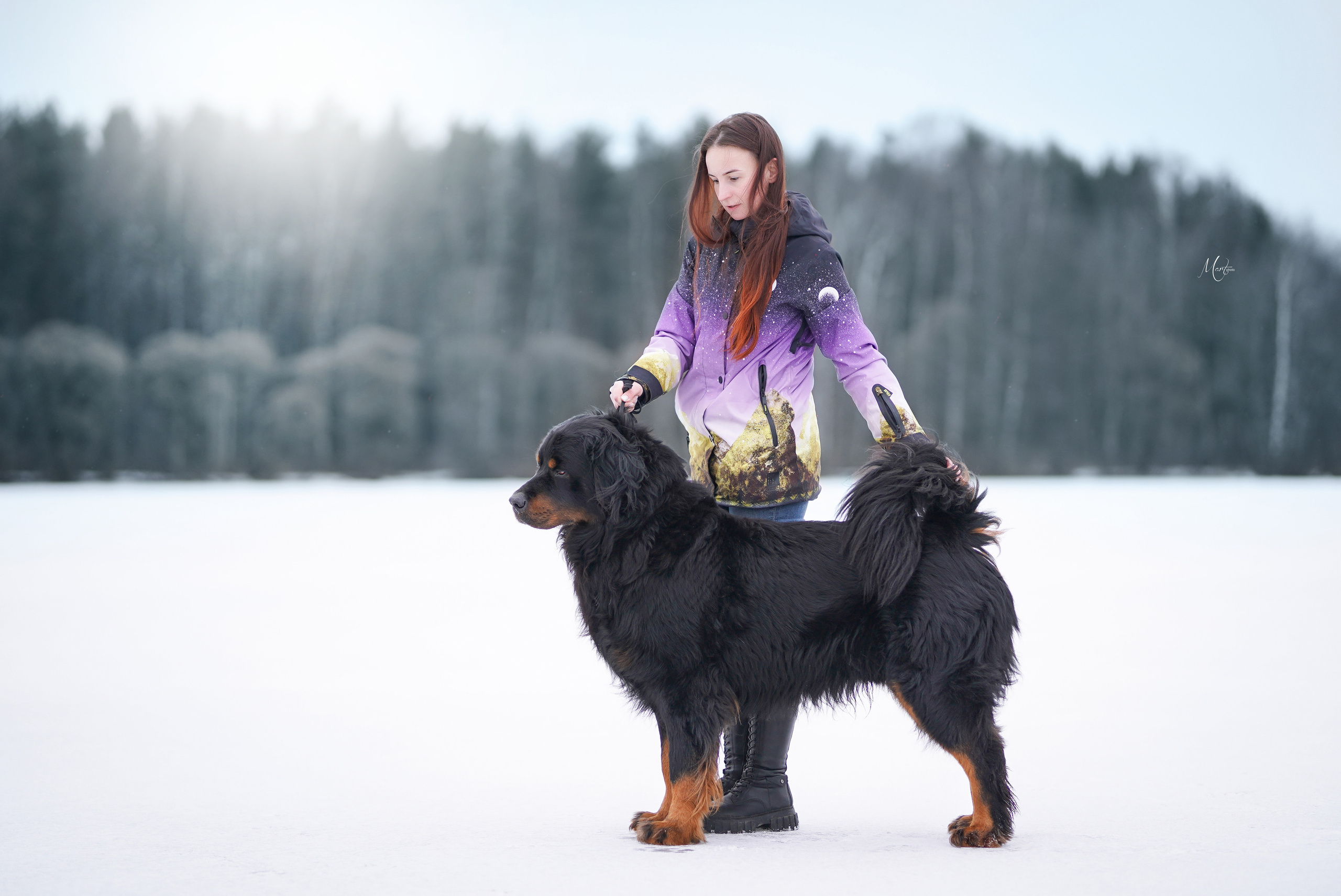 Экстерьерная съемка 2023. Фотограф-анималист в Санкт-Петербурге Яна Мартынова