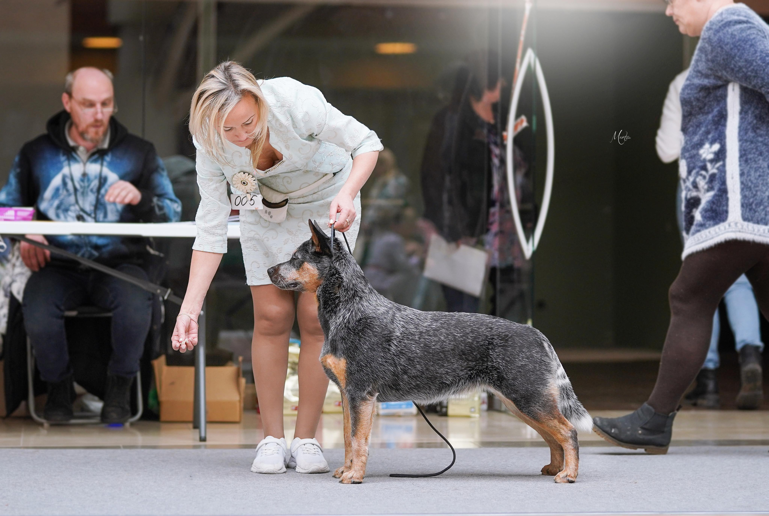Выставки 2023. Фотограф-анималист в Санкт-Петербурге Яна Мартынова