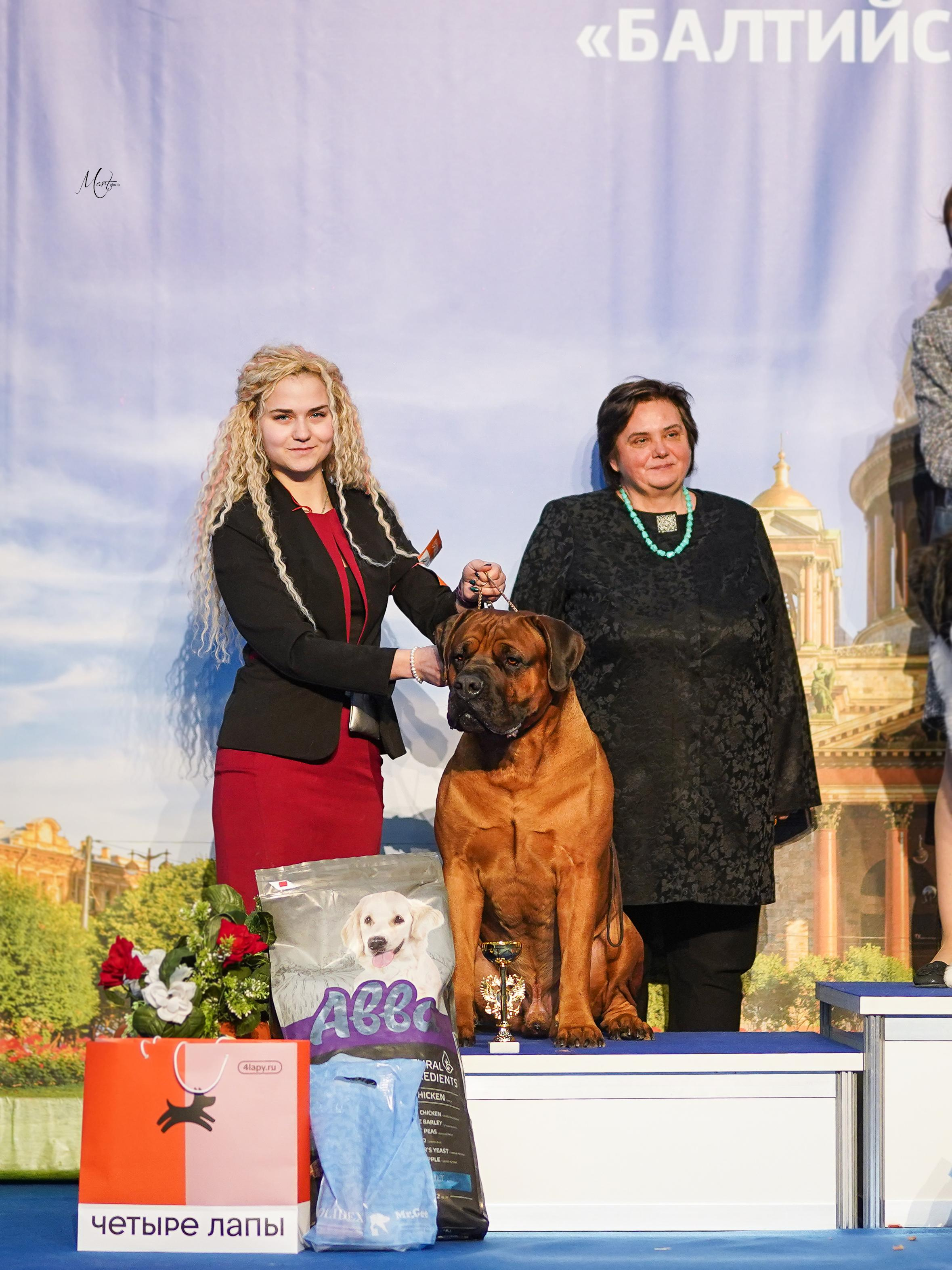 Выставки 2023. Фотограф-анималист в Санкт-Петербурге Яна Мартынова