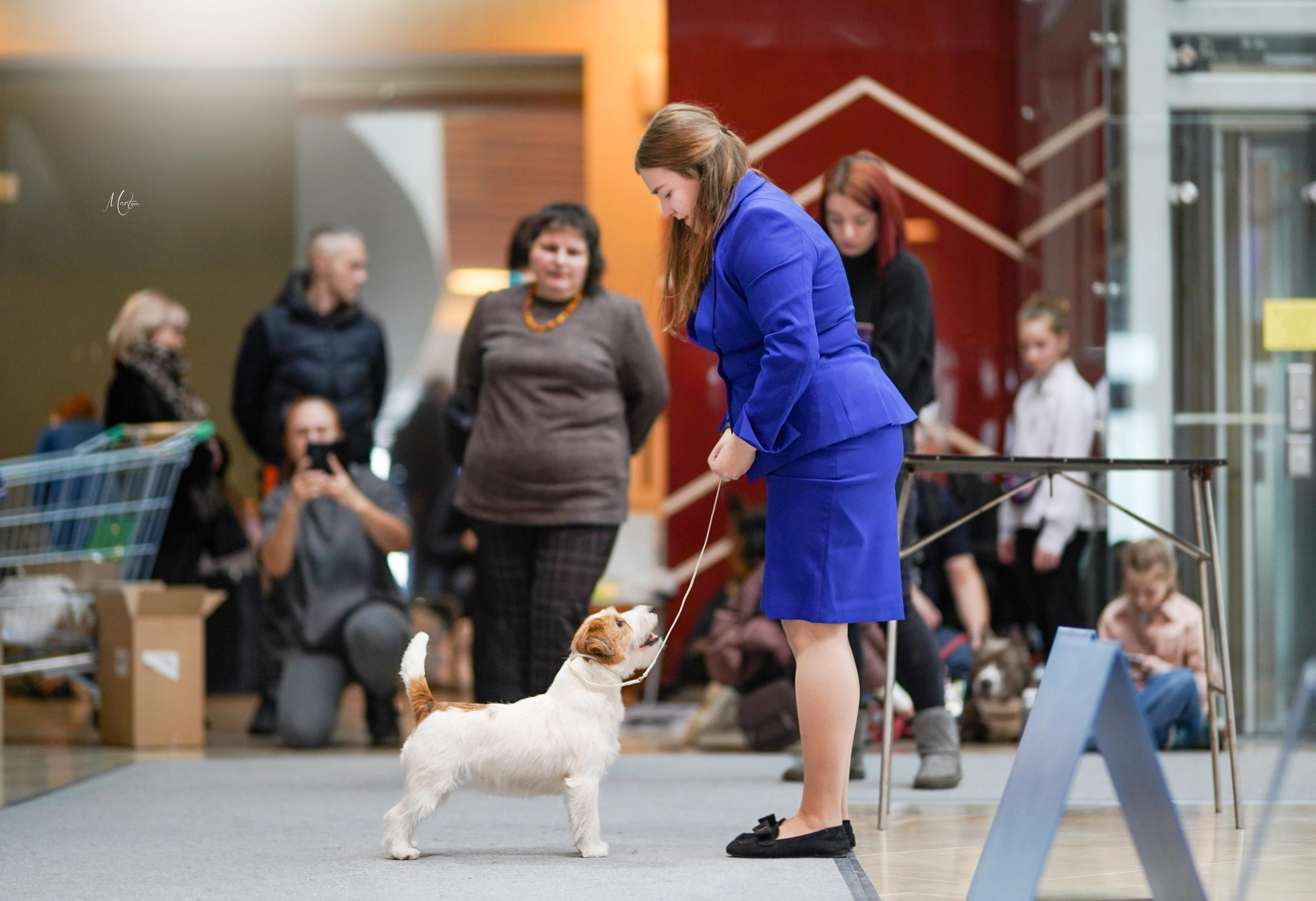 Выставки 2023. Фотограф-анималист в Санкт-Петербурге Яна Мартынова