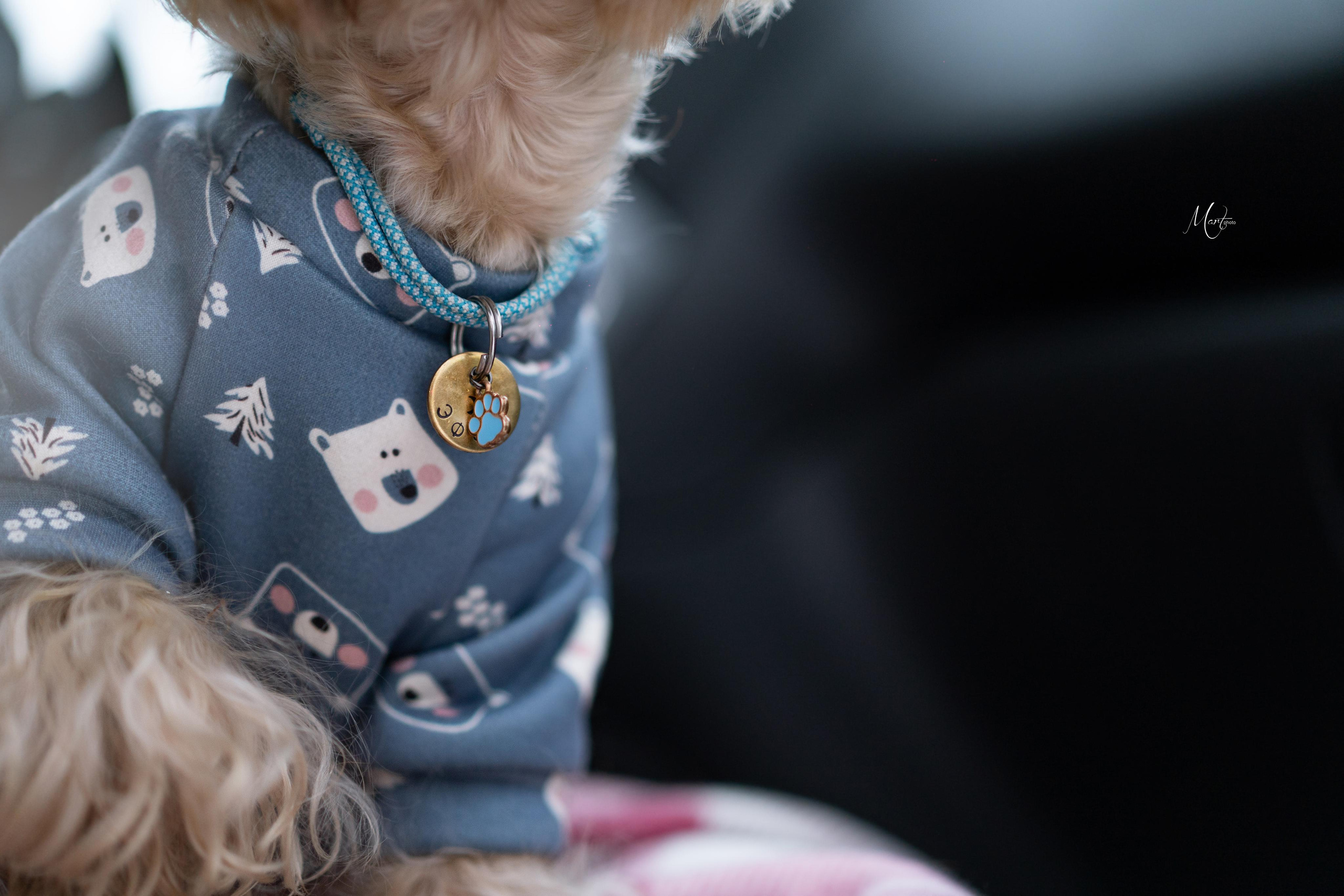 Эффи, Юни зима 23'. Фотограф-анималист в Санкт-Петербурге Яна Мартынова