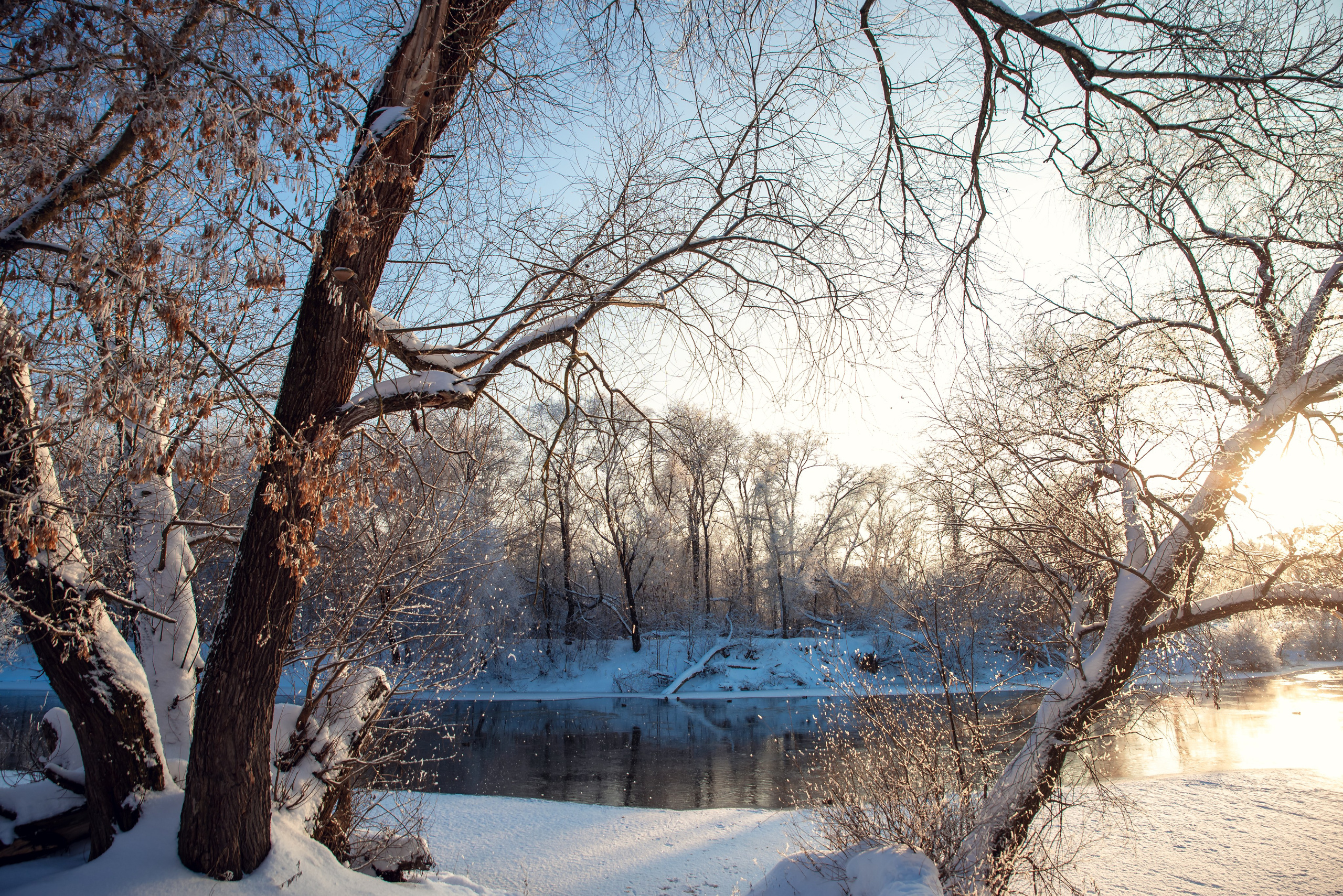 Зимушка зима. Фотограф Крещение Венчание Москва