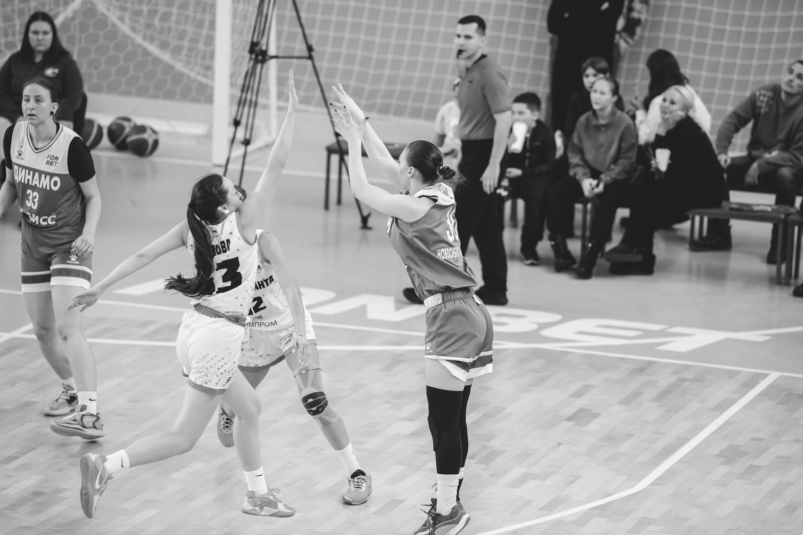 ЧГУ-Атланта — Динамо / 2 игра. Фотография