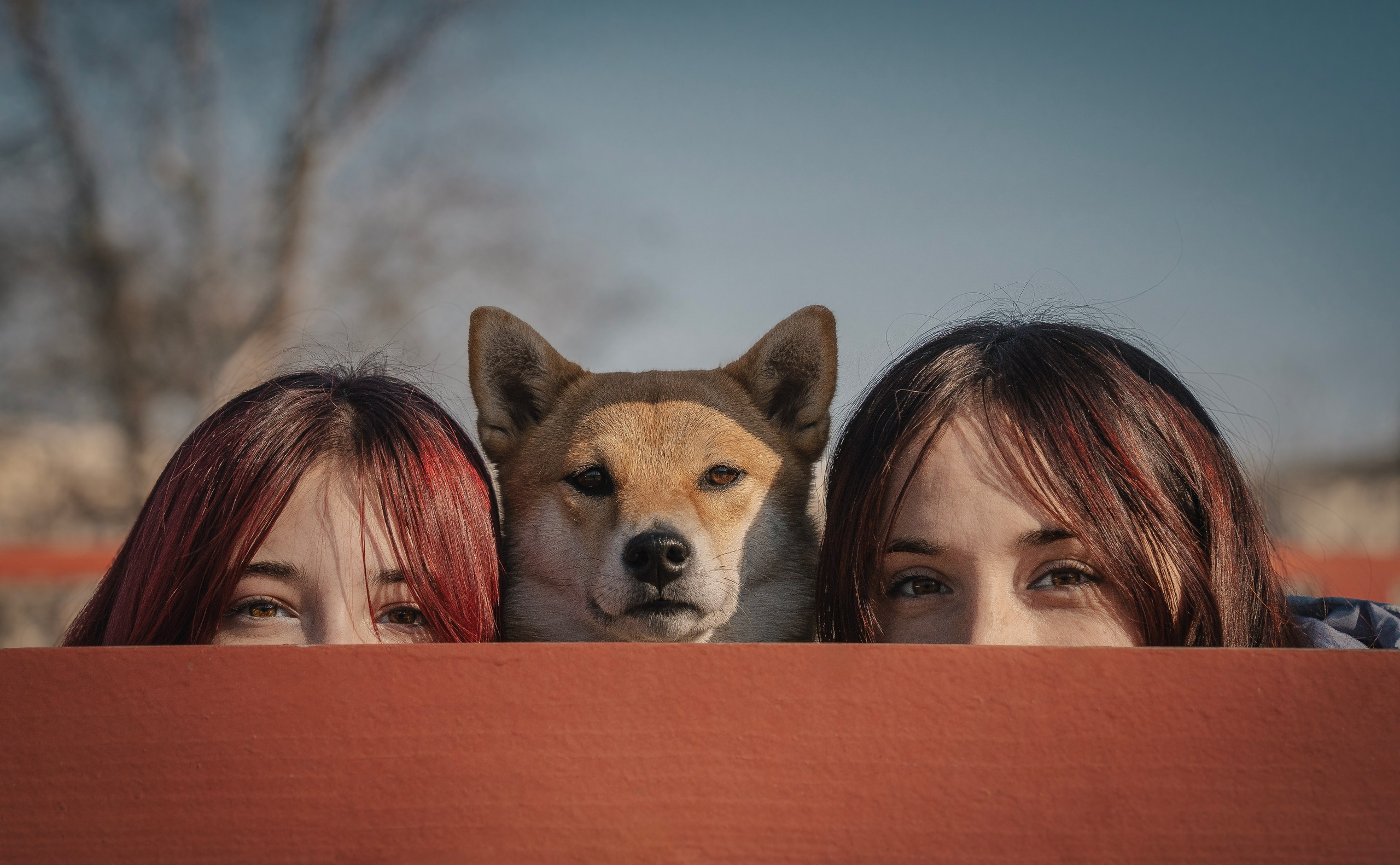 Семейная история. Семейный фотограф анималист г. Находка
