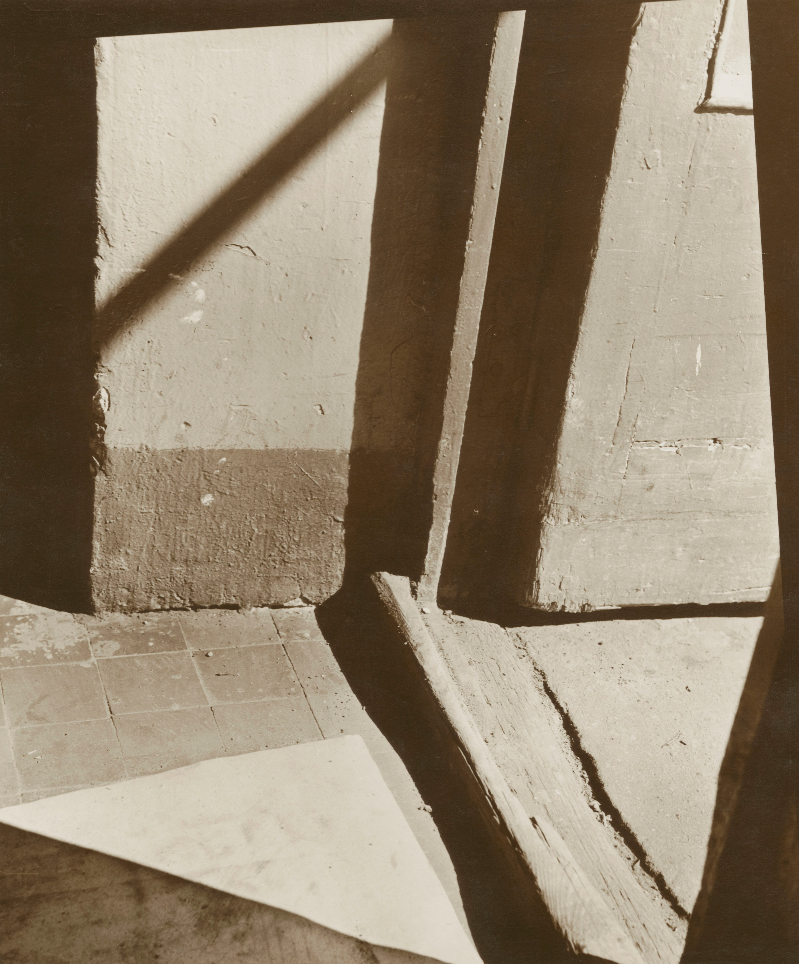 Sepia. Gueorgui Pinkhassov