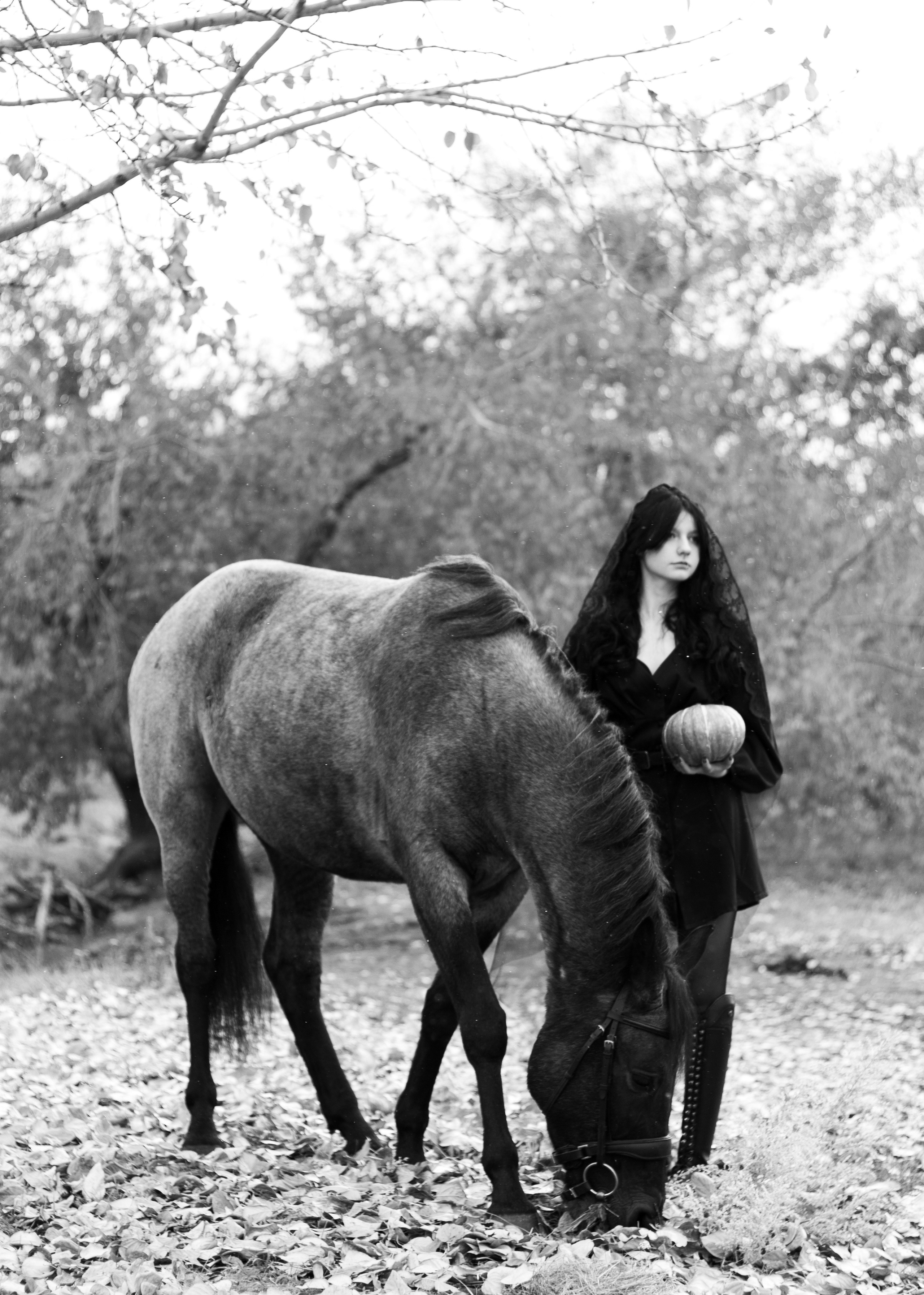 Алиса и ЛаГерда. Фотограф в Иркутске, Харитонова Елизавета