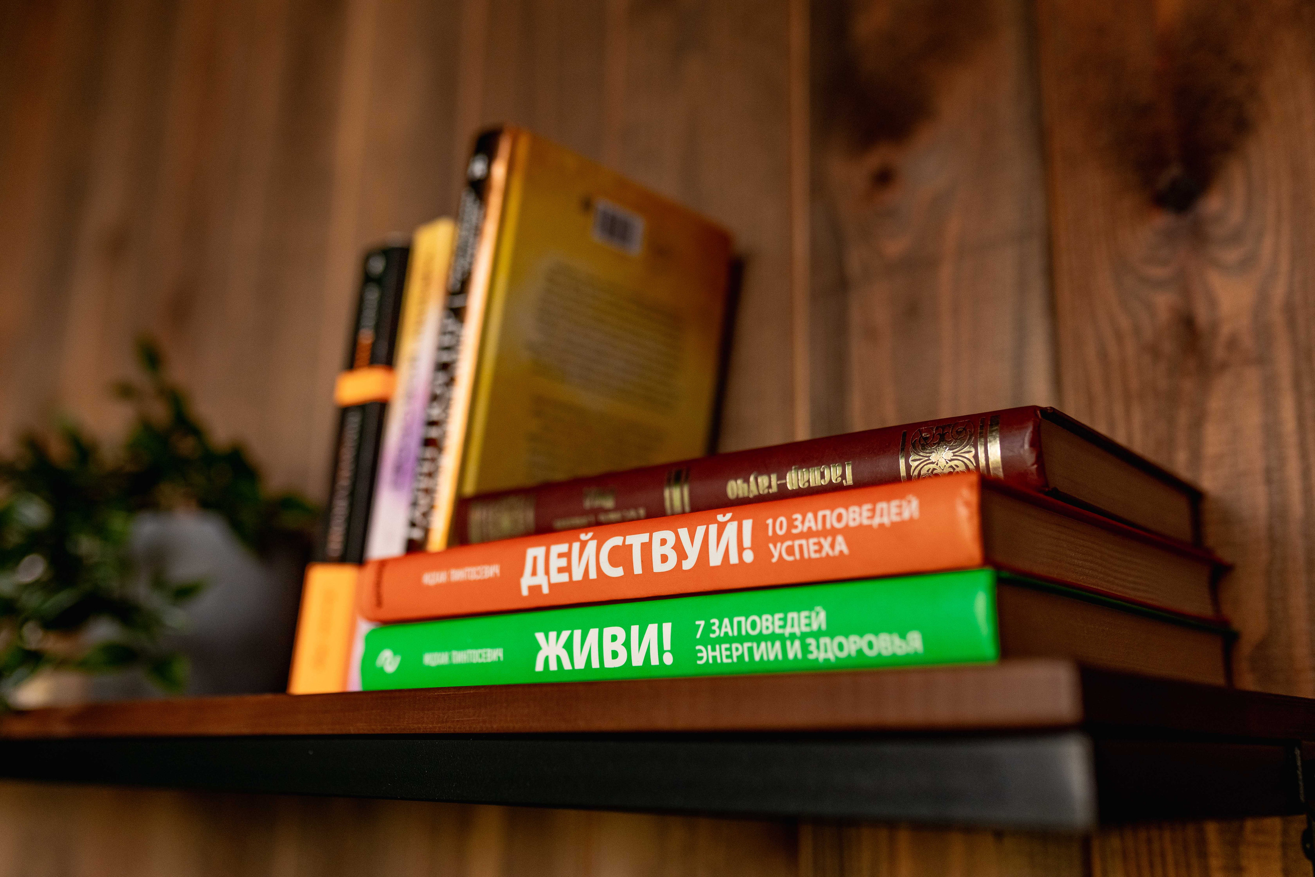 Экстерьер и Интерьер