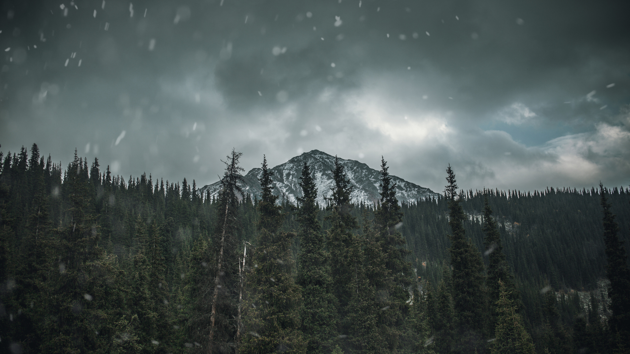 Фотограф Алматы Кирилл Воротников