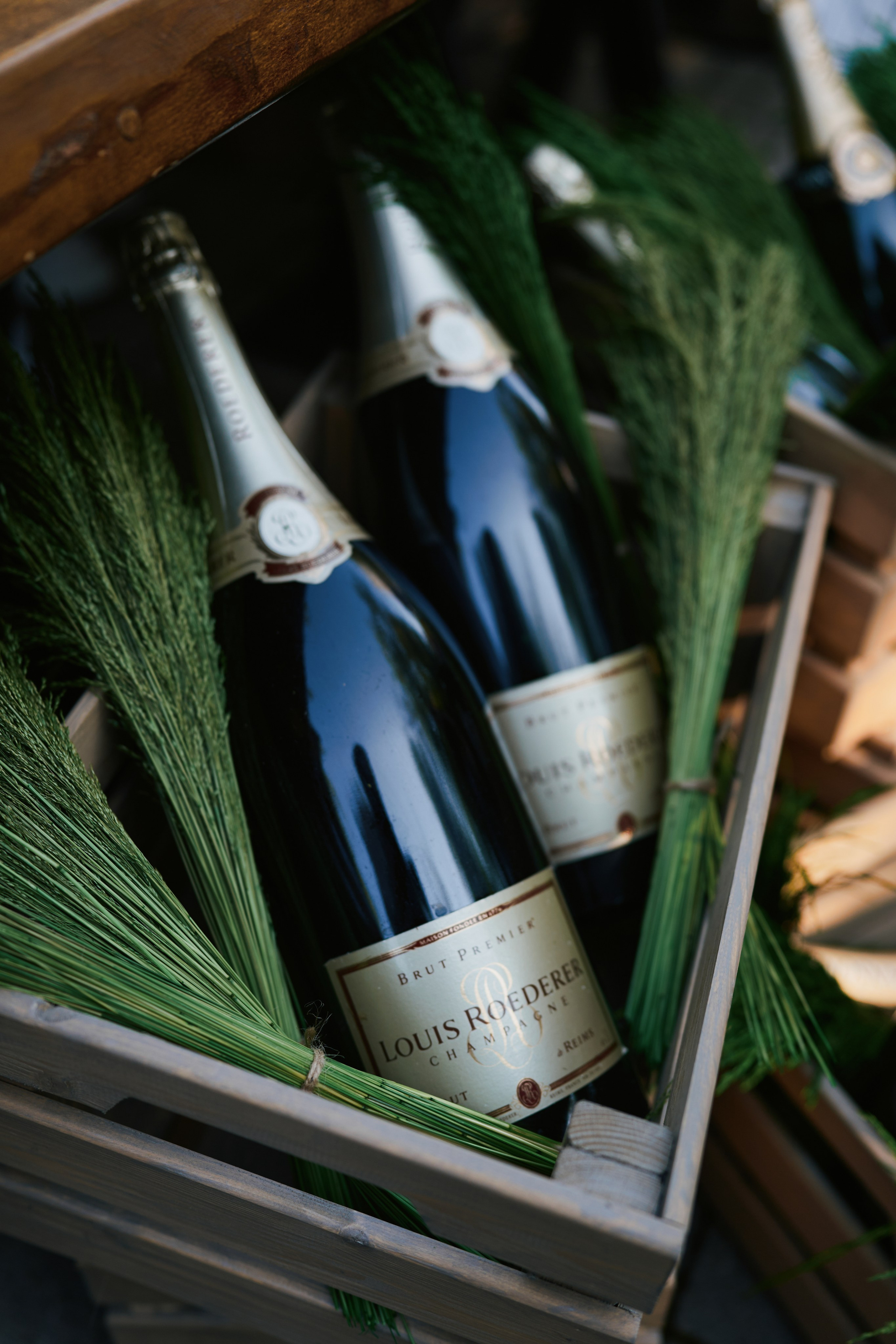 Bellini-пикник 2025. Фотограф Ольга Зинченко