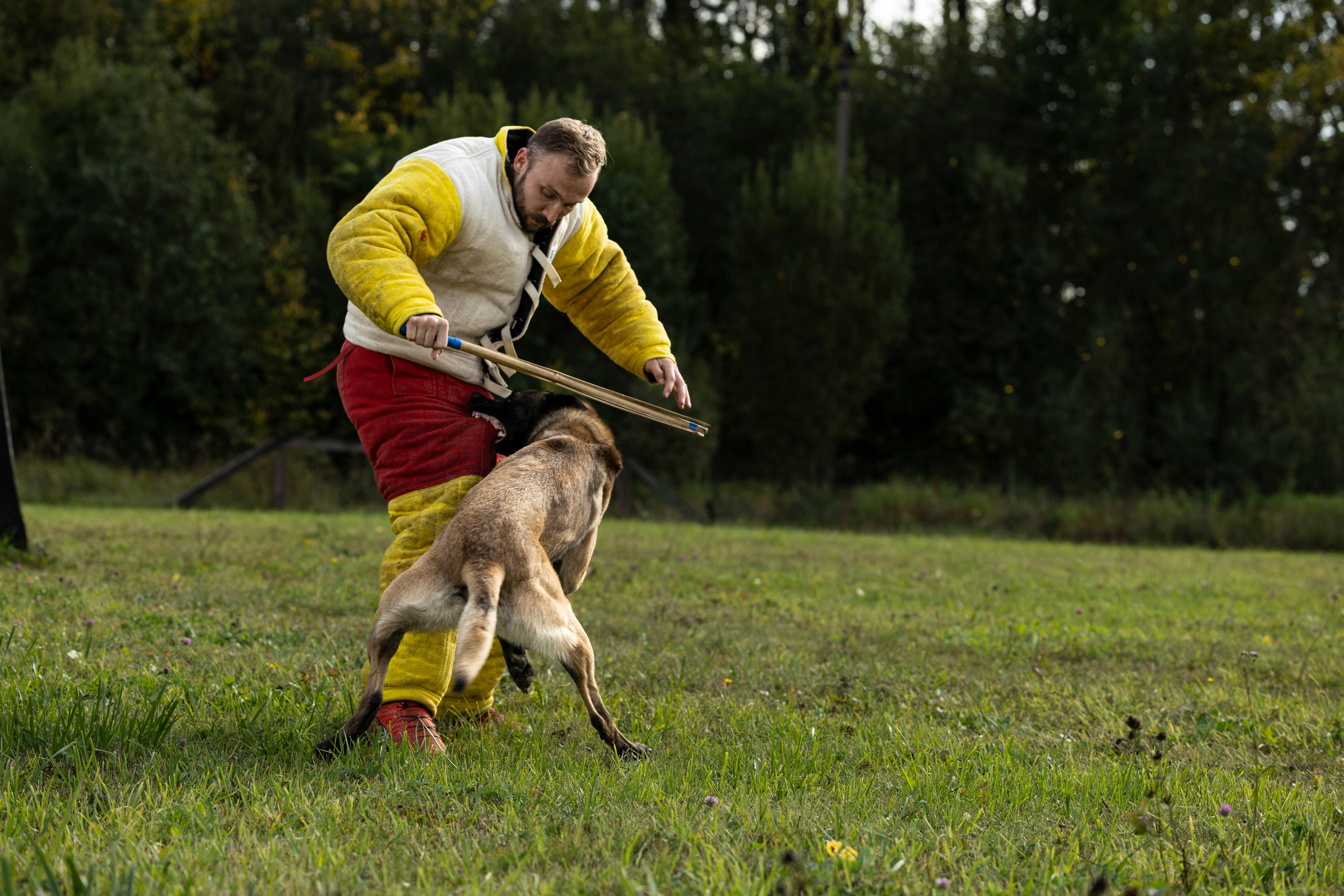 Испытания по Мондьорингу г. Пушкин. Фотограф-анималист Анна Маринич