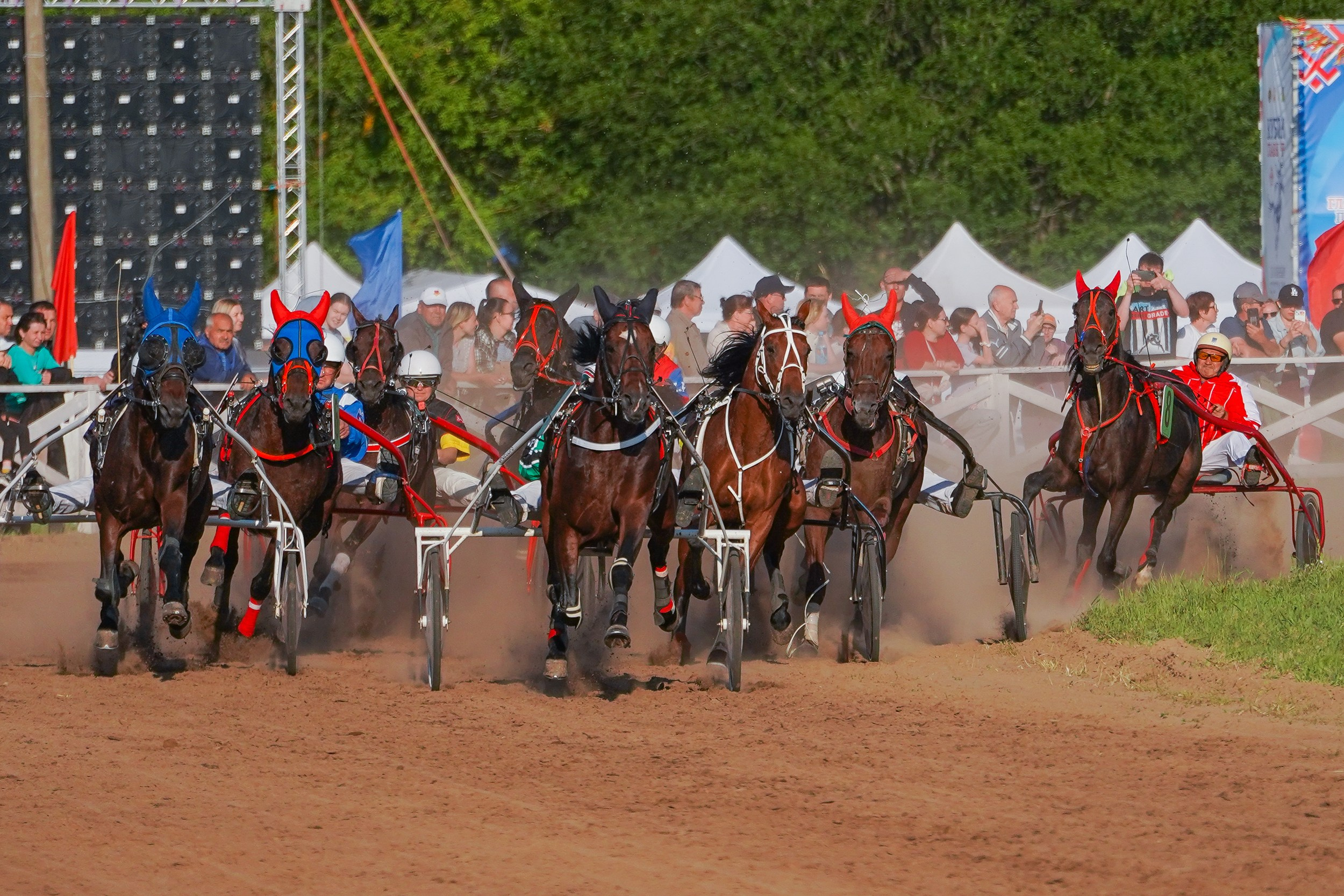 III конные бега на Кубок Главы Чувашии. Фотограф-анималист, портретный фотограф в Чебоксарах Мария Садыкова