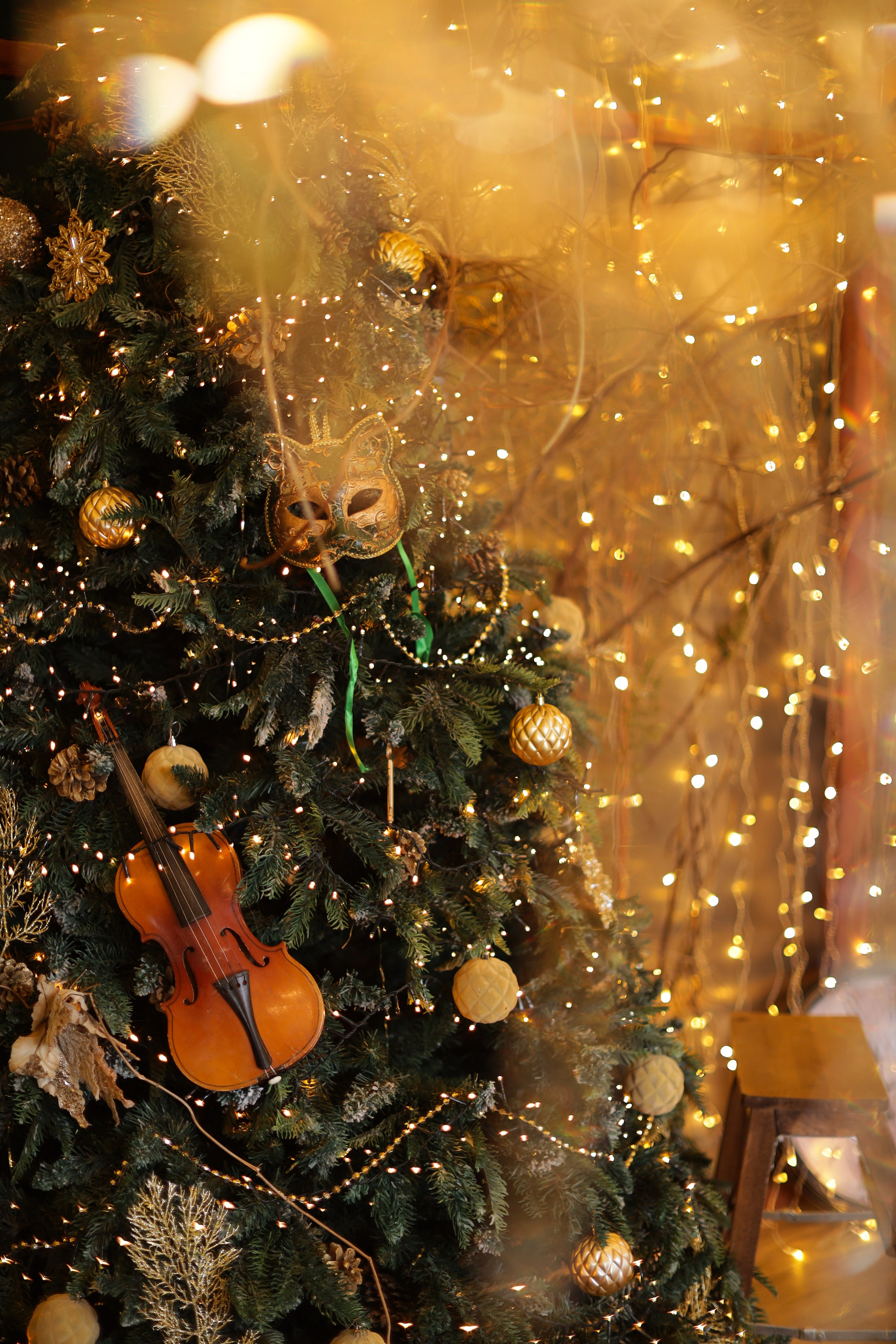 Фотостудия «Роял» зал Теплица. Свадебный фотограф в Ростове Александра Груздева