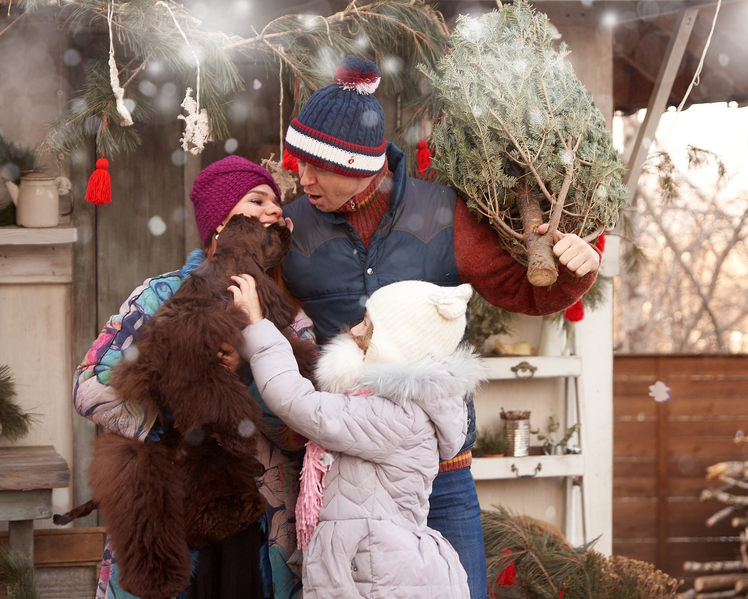 Новогодние съёмки. Фотограф для жизни, бизнеса и соц сетей Ирина Нечет, Владивосток