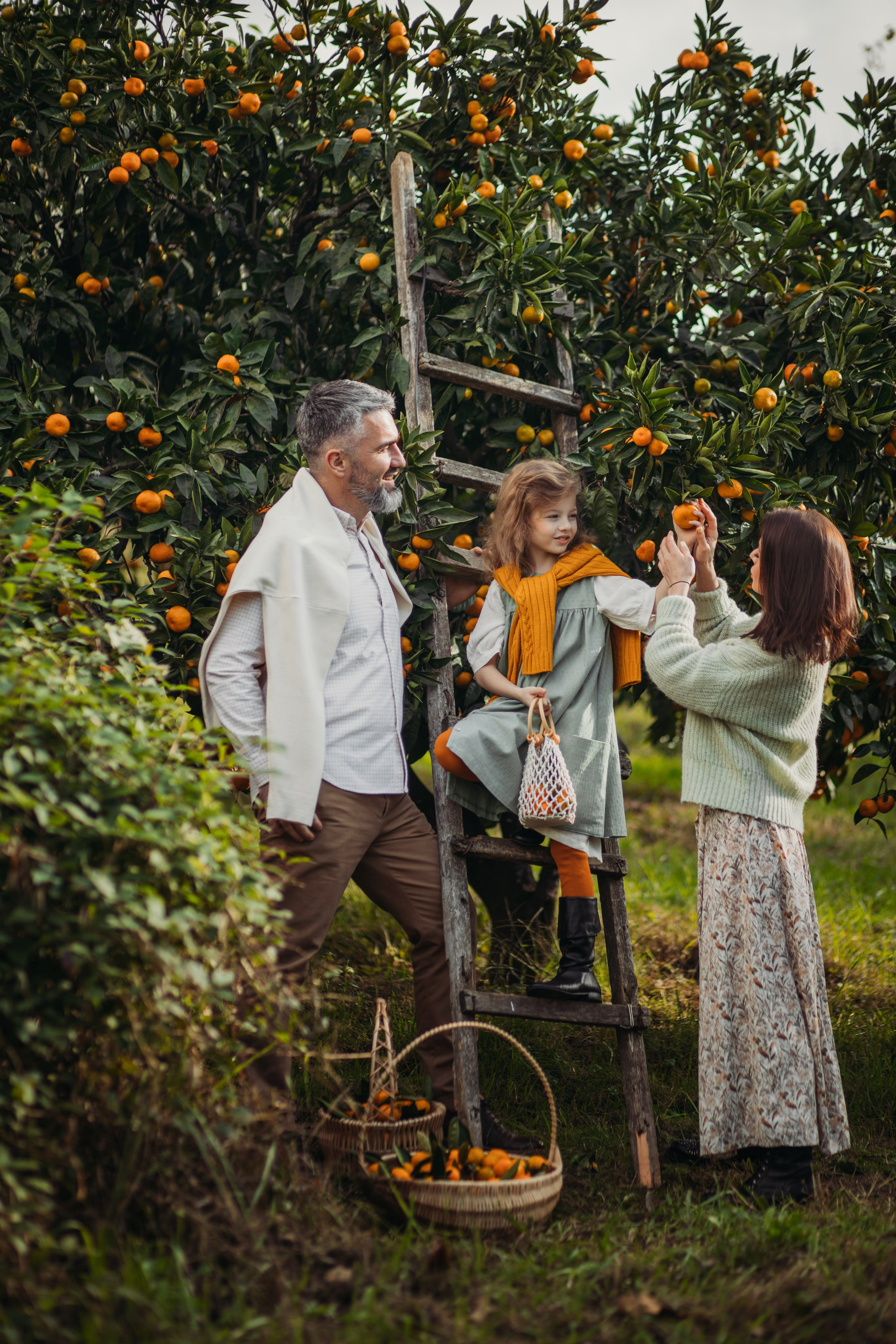 Мандариновая роща. Фотограф Сочи Татьяна Зорина