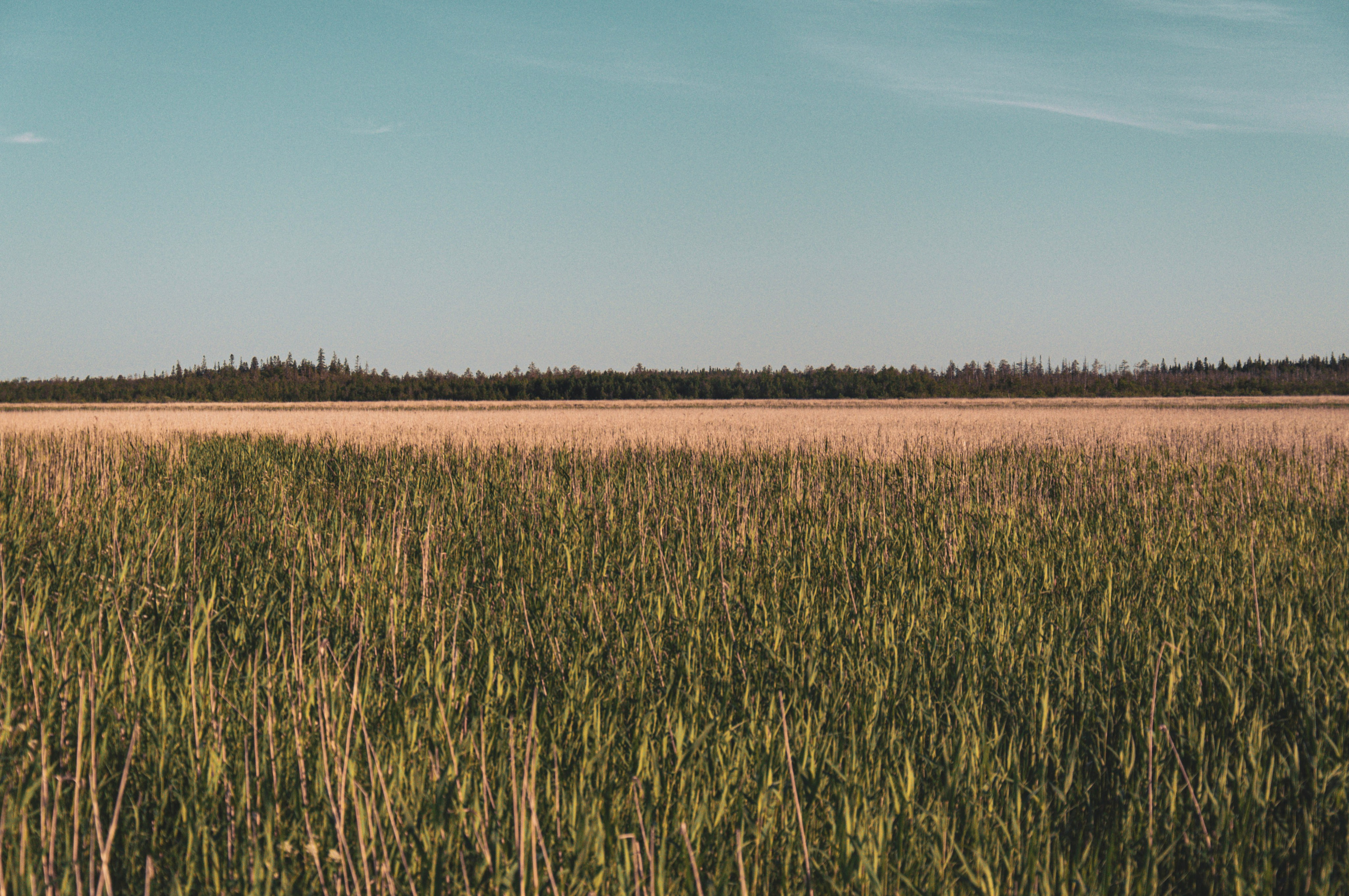 Фотографии с Белого моря. Авторские походы по Белому морю