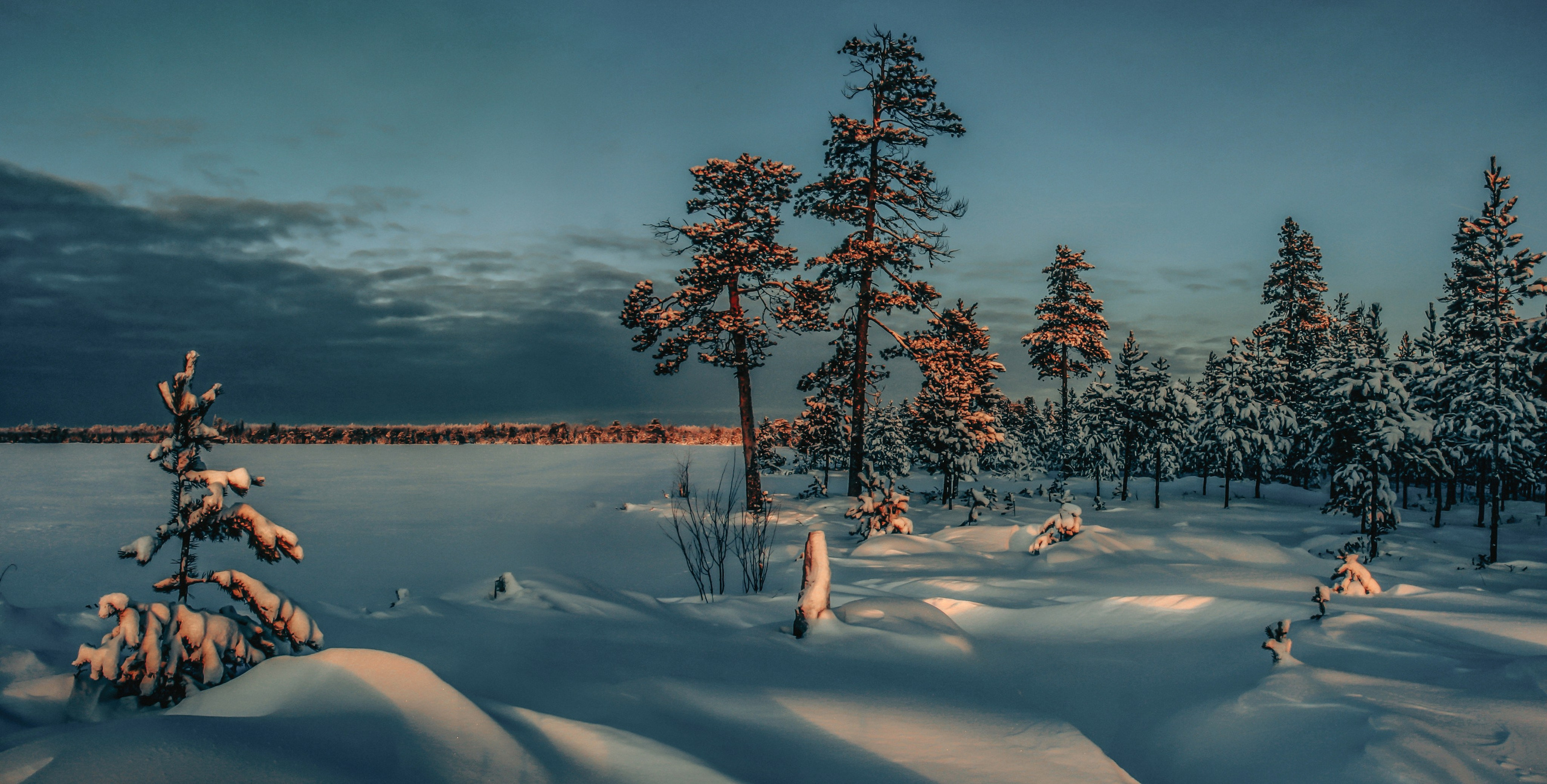 Фотограф Татьяна Борисова