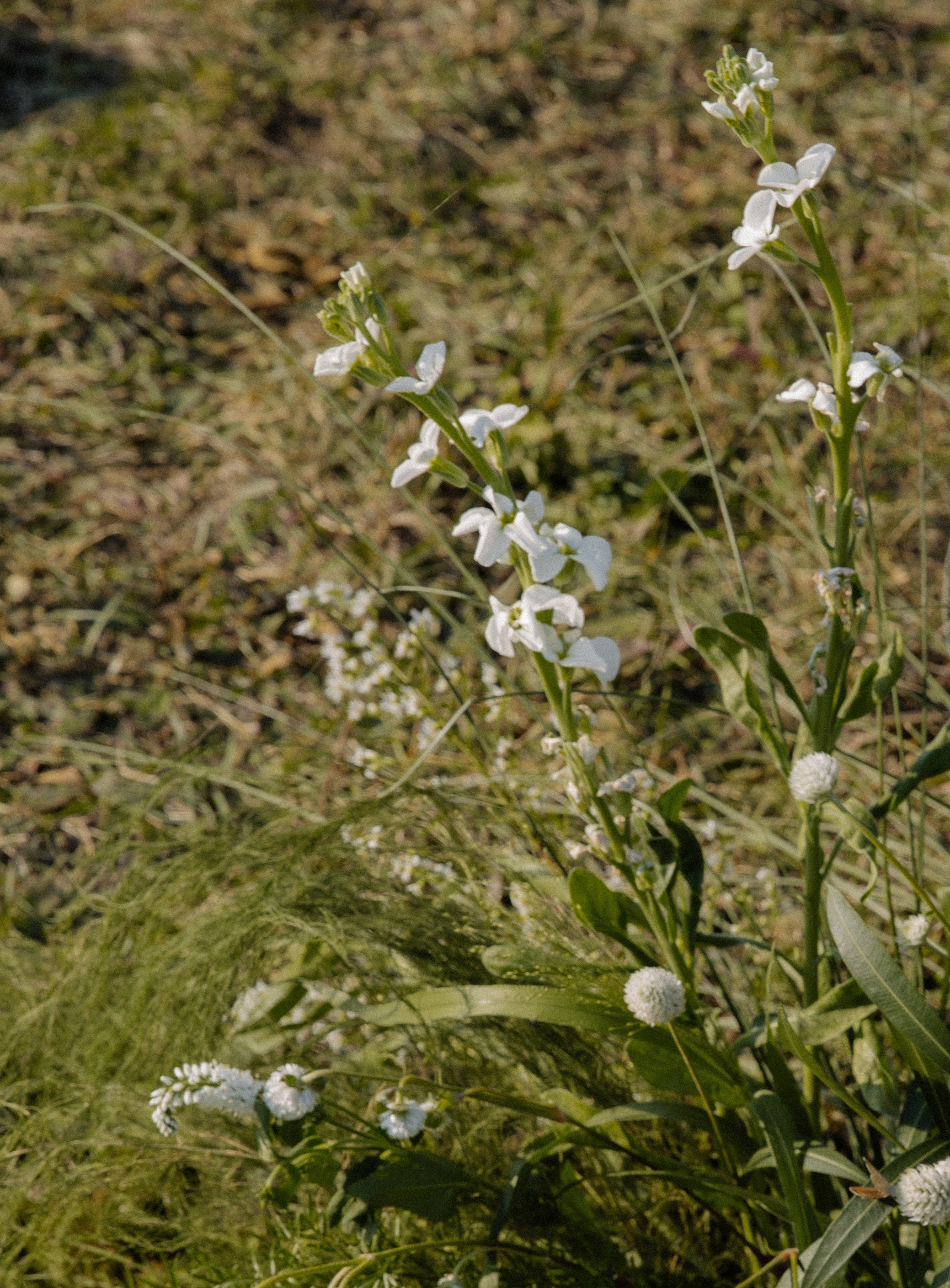 Анастасия | Максим. Фотограф в Краснодаре и Краснодарском крае