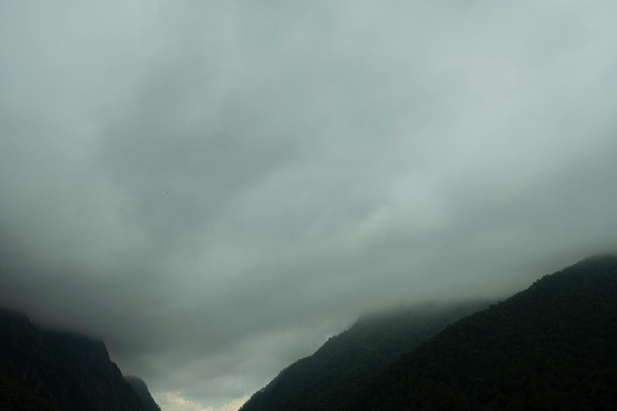 Сочи, 2022. Портретный фотограф в Москве Евгения Яковенко