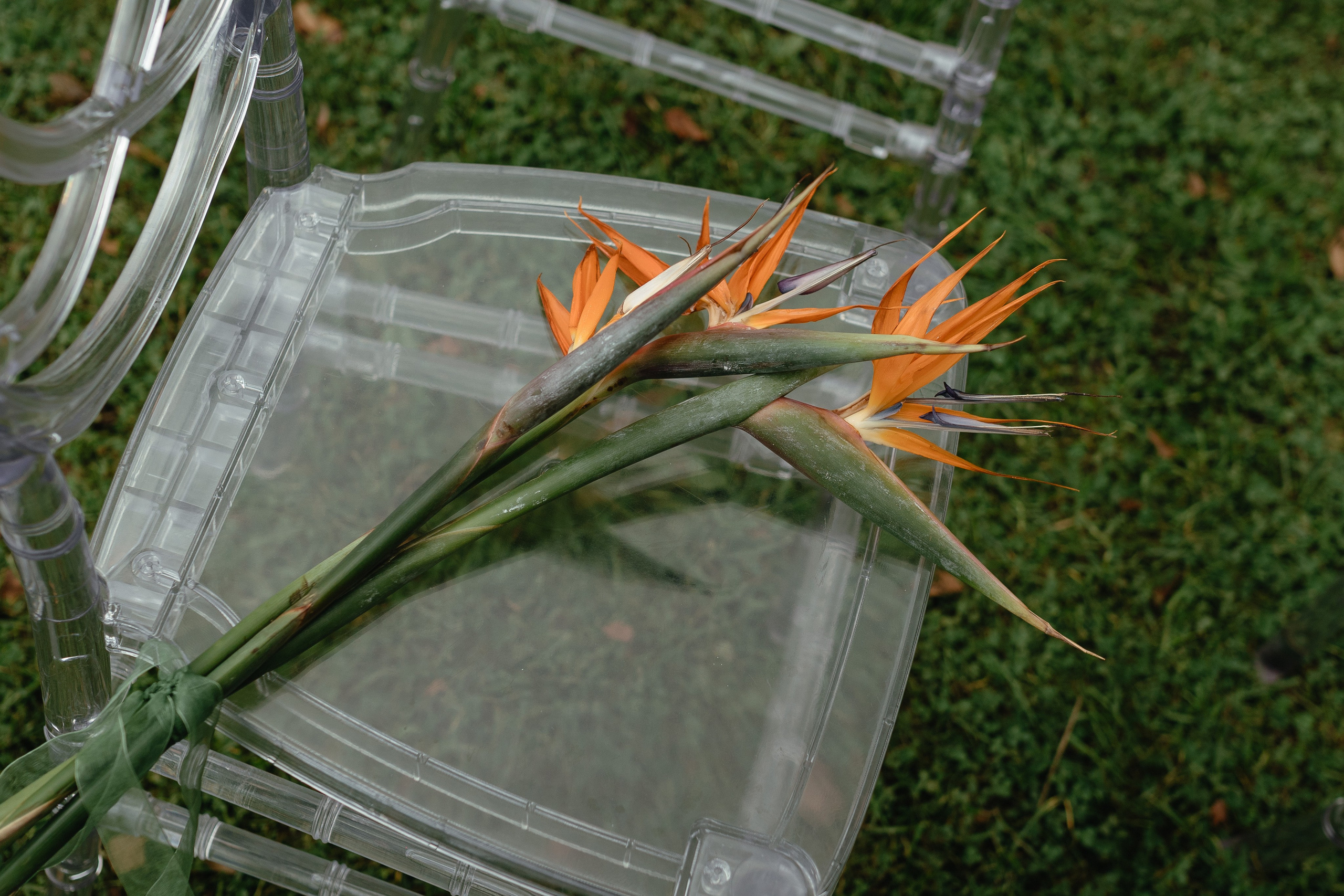 Петр и Екатерина. Свадебный и семейный фотограф во Владимире Белашова Анастасия