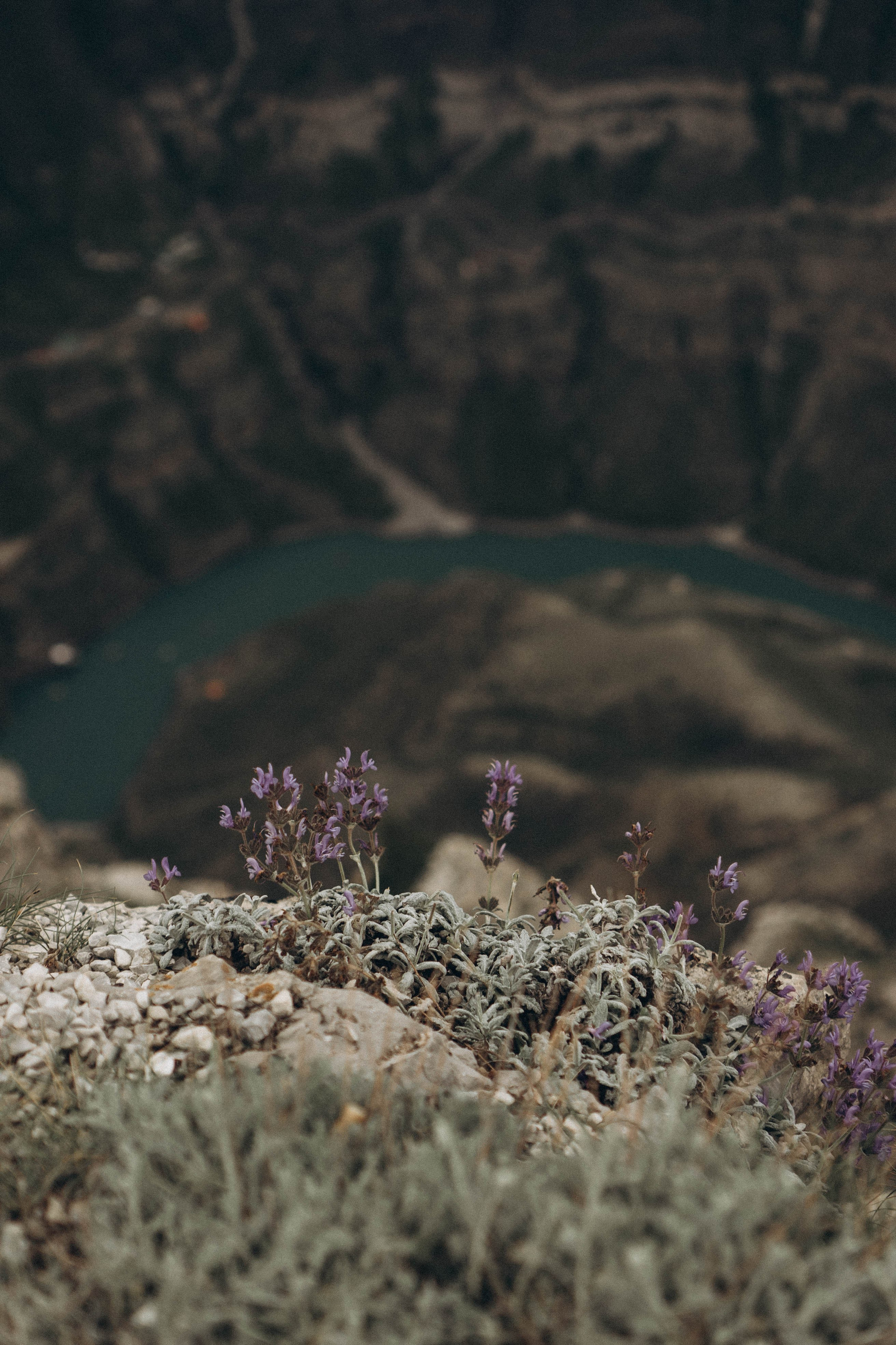 Кавказ. Профессиональный фотограф, Санкт-Петербург — Виктория Богомолова