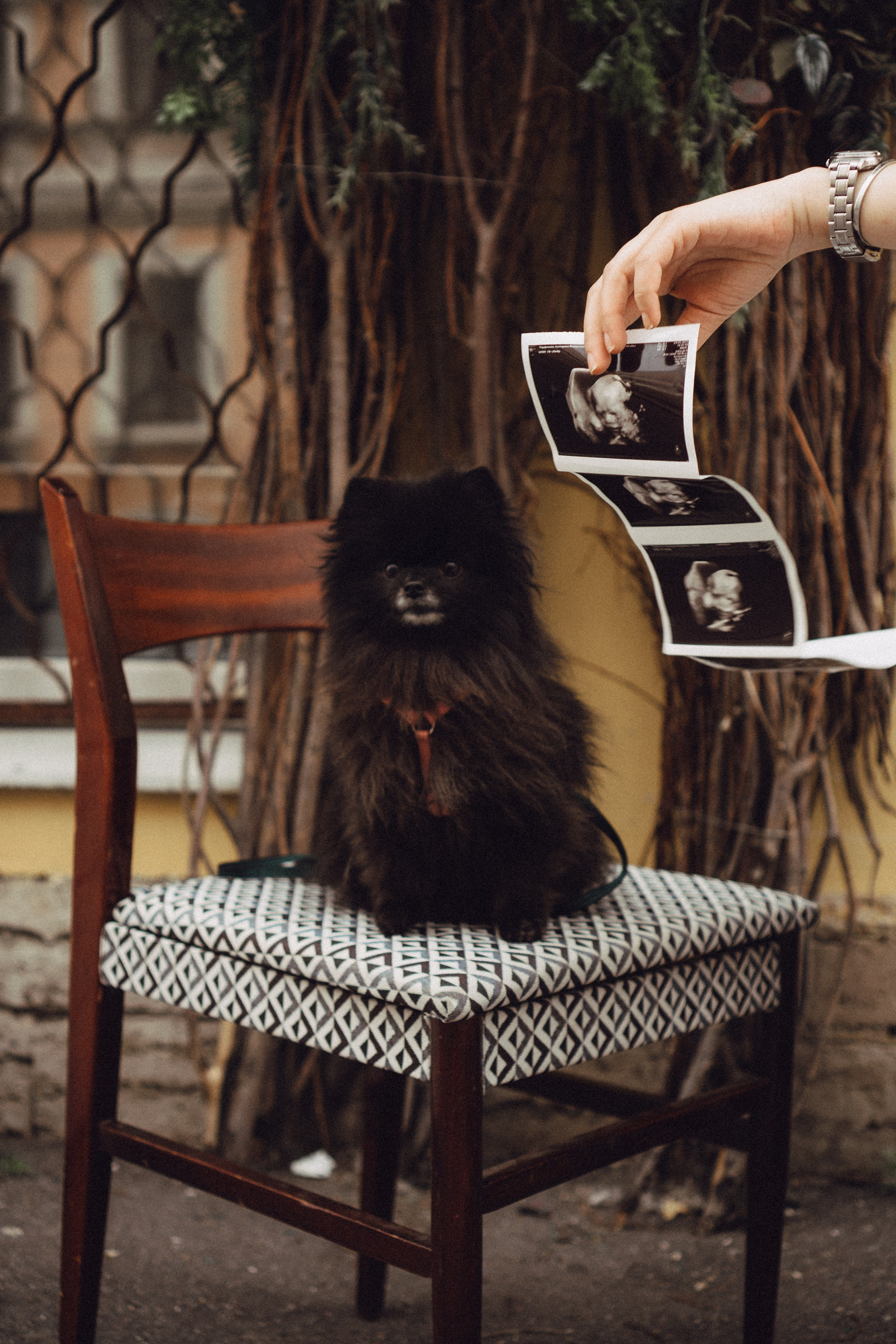 Беременность (только часть фото по желанию клиентов могу показать)). Профессиональный фотограф, Санкт-Петербург — Виктория Богомолова