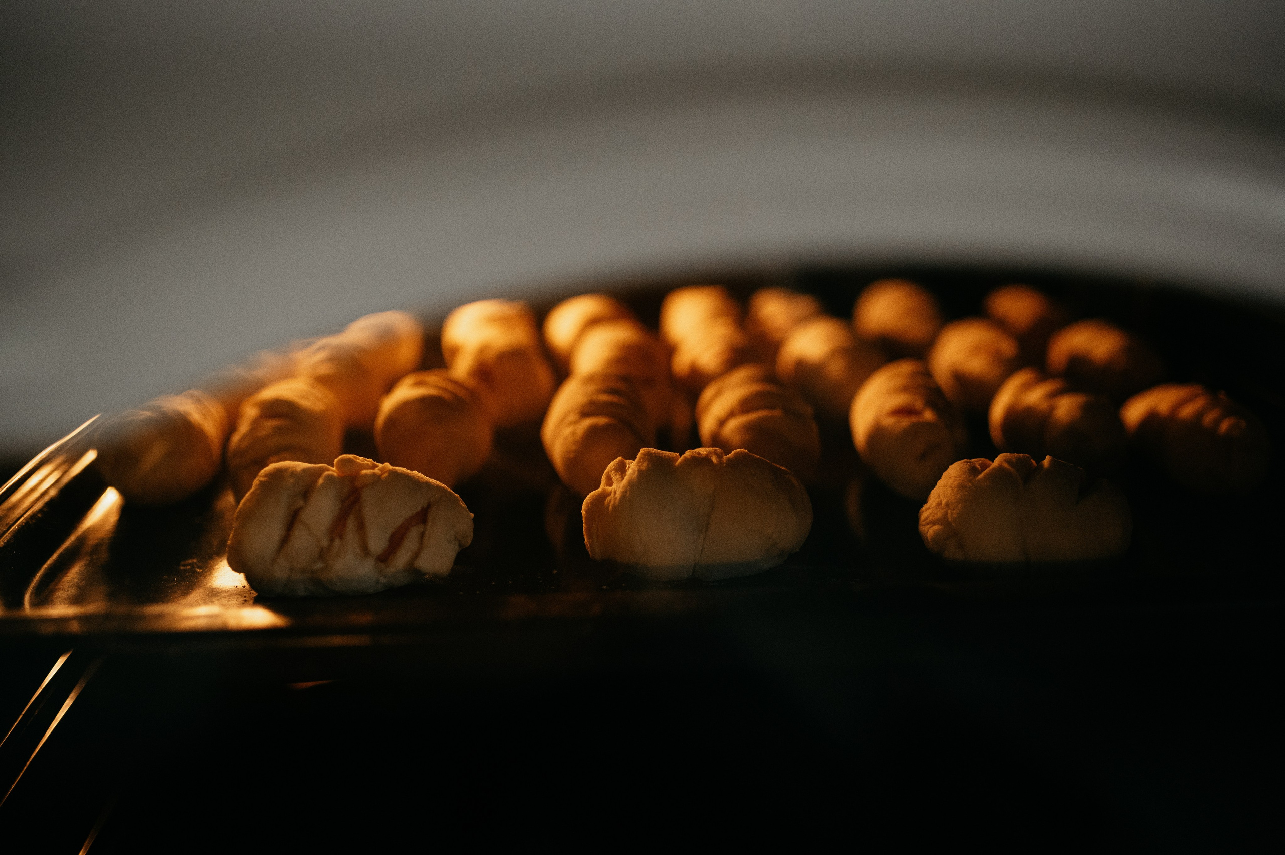 Даша, Диана, Дебби и маленькая крыска. Фотограф анималист в Москве Ольга Агушева