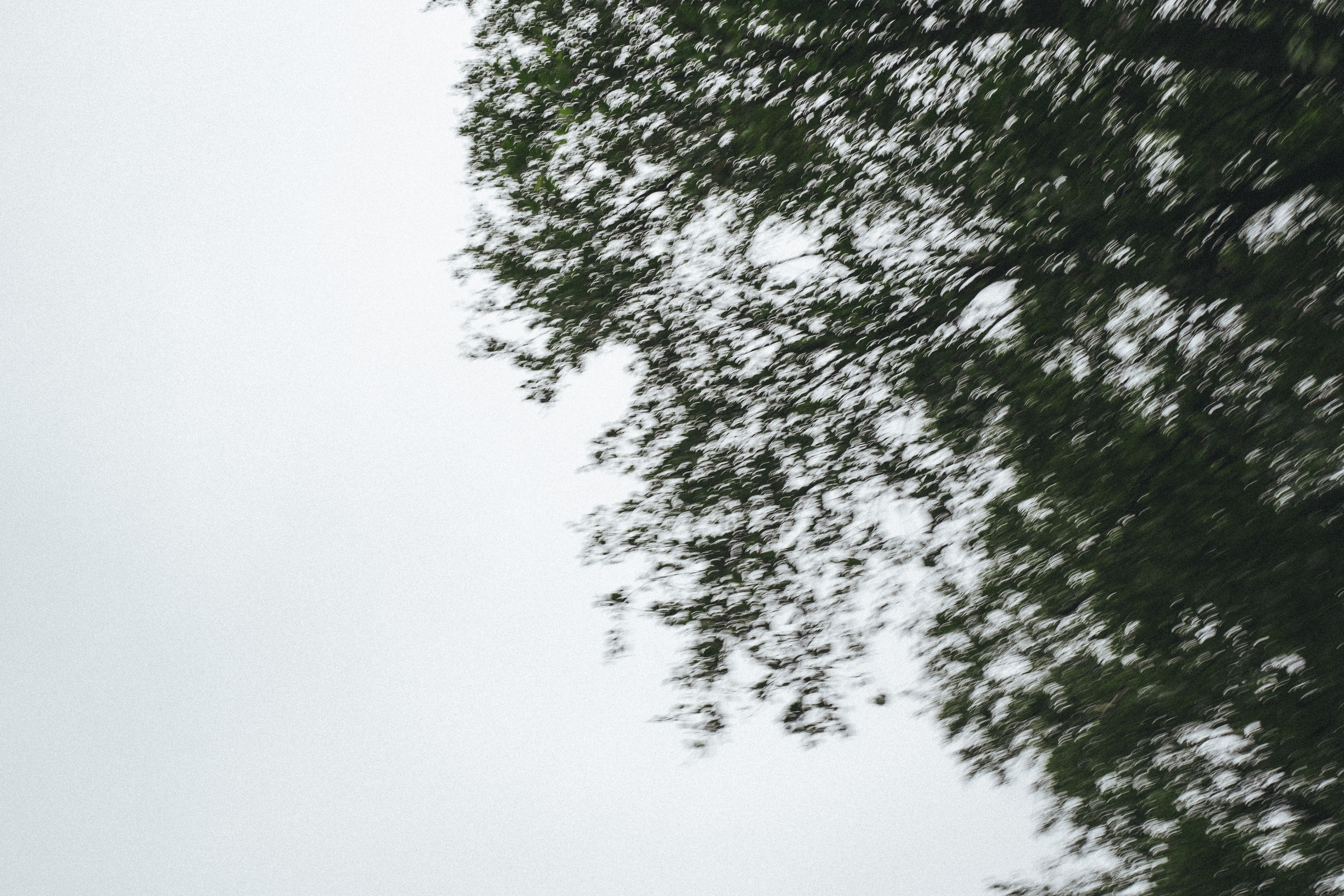 Happy Birthday, Alina ♥️. <3