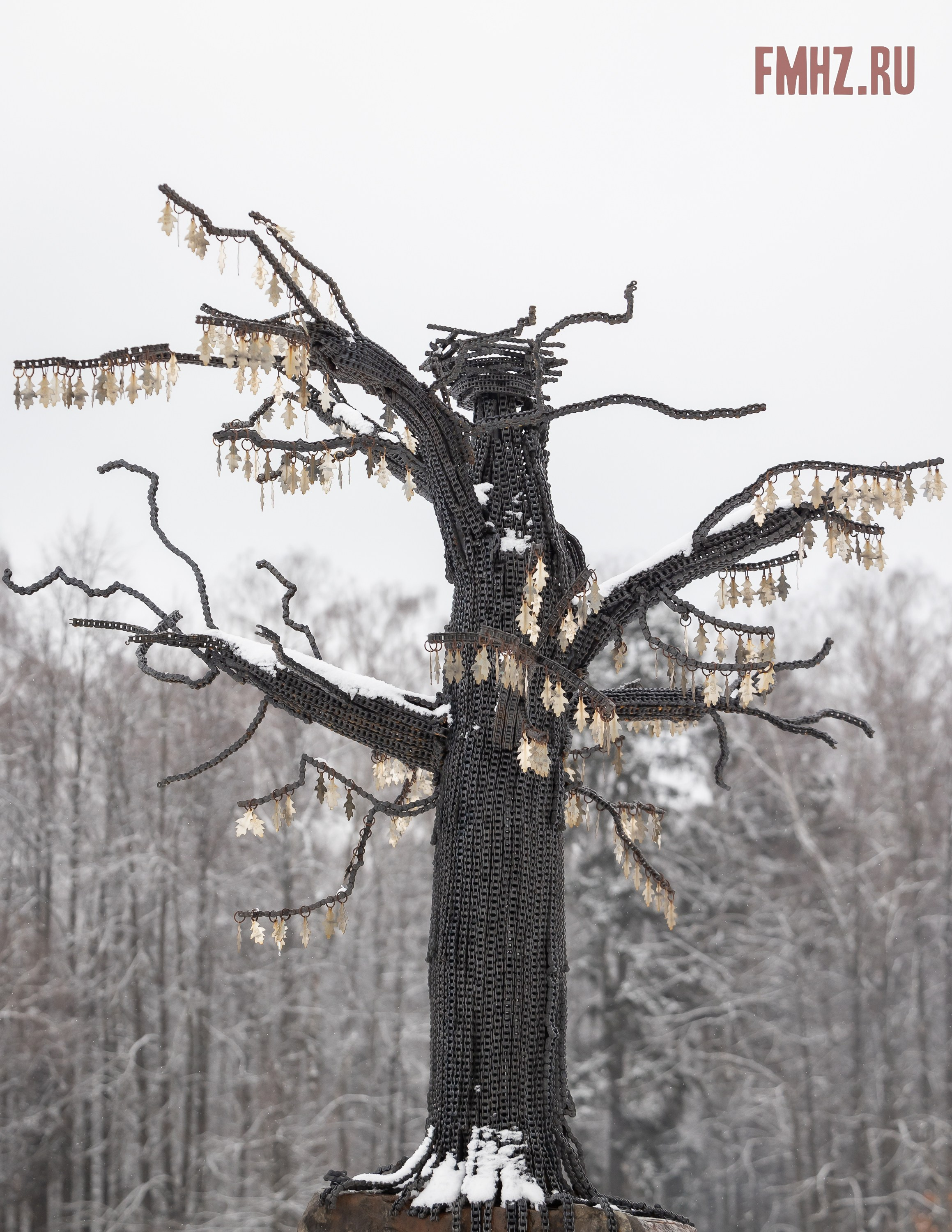 Масленица на аллее памяти «Вечный сезон» 02.03.2025. Фотограф Владимир Охрименко