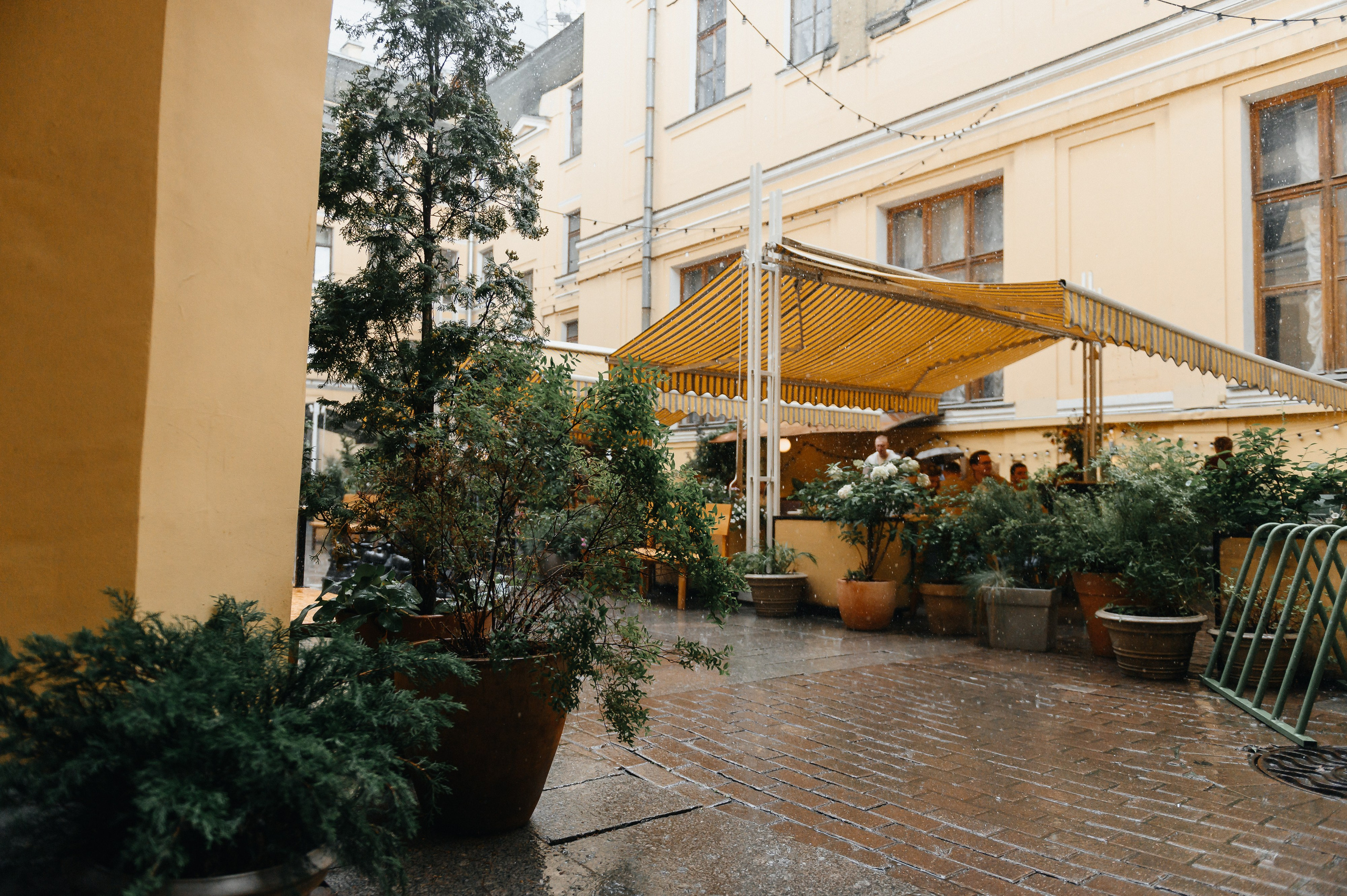 Вадим и Карина. Свадебный и семейный фотограф в Санкт-Петербурге Александр Озеров