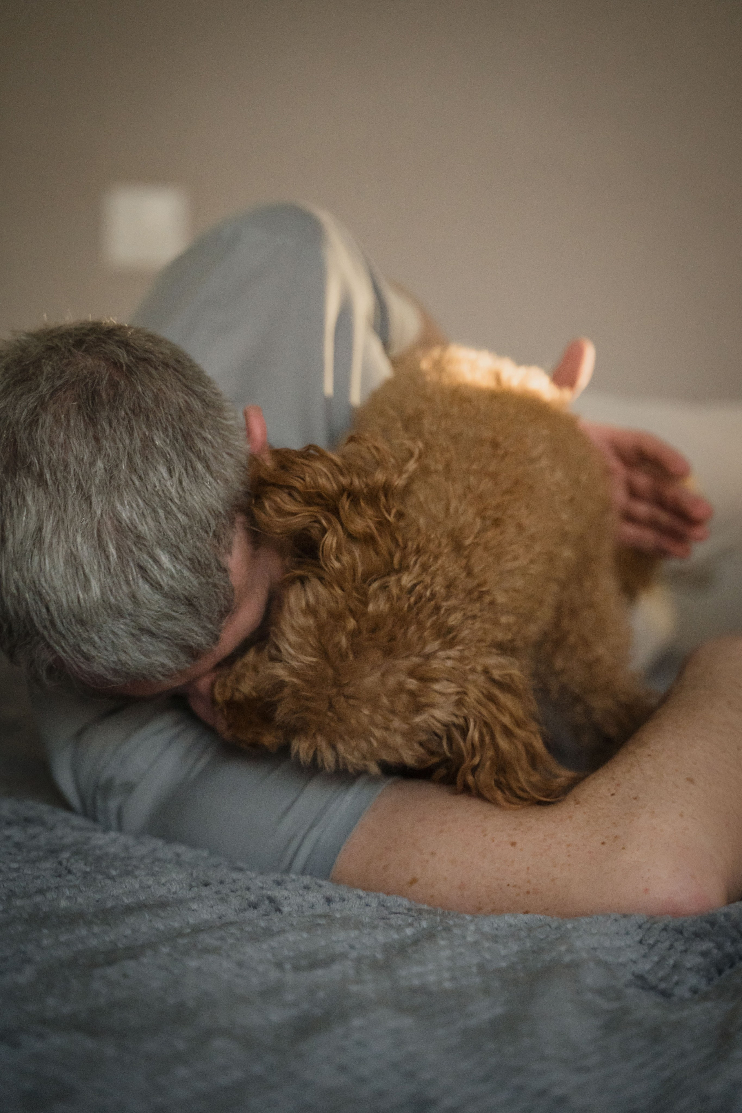 Предновогодний вечер. Главная
