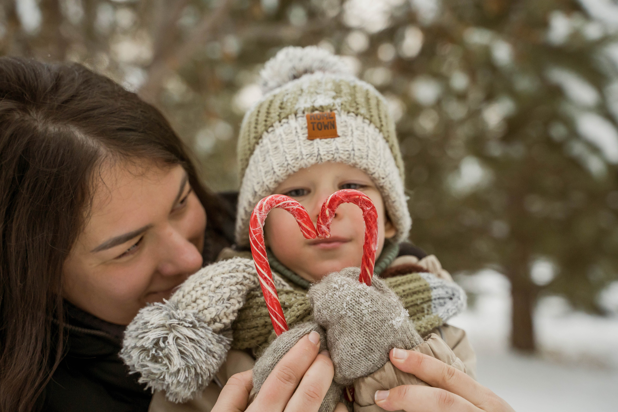 Зимняя прогулка. Главная