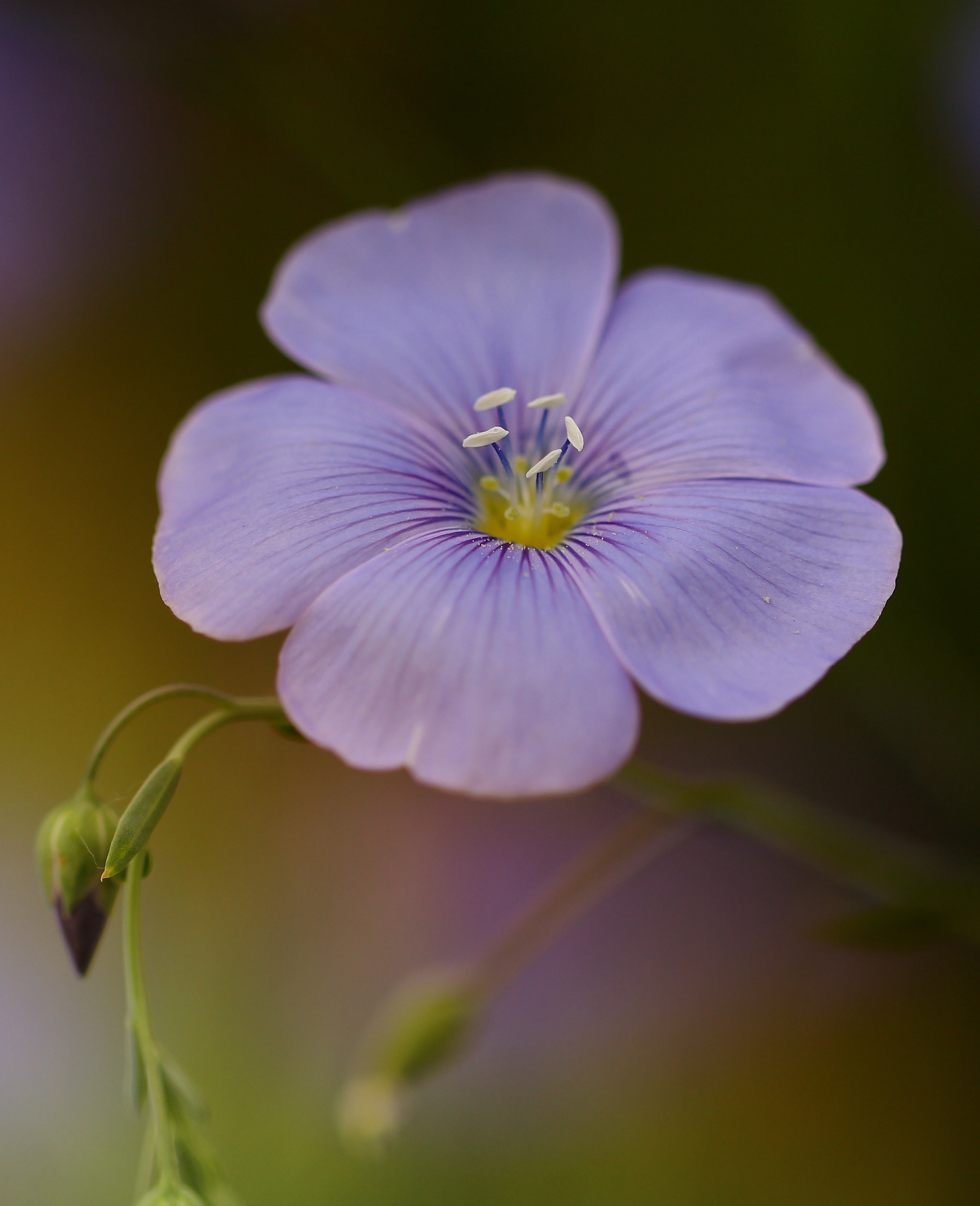 Природа. Макс По — фото и видео съемки любого формата