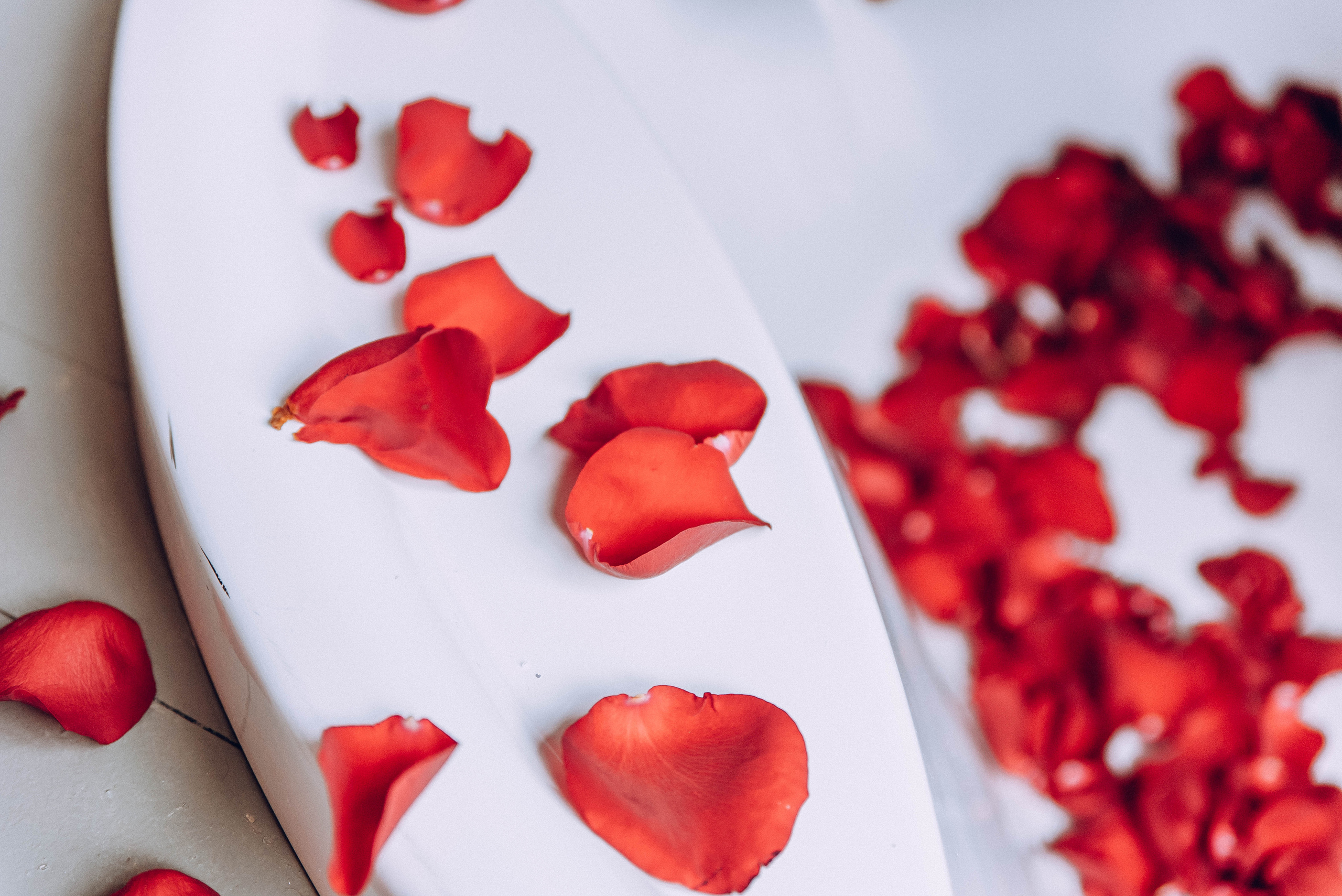 Ваня и Ксюша. Свадебный и семейный фотограф в Чите Юлия Оранская