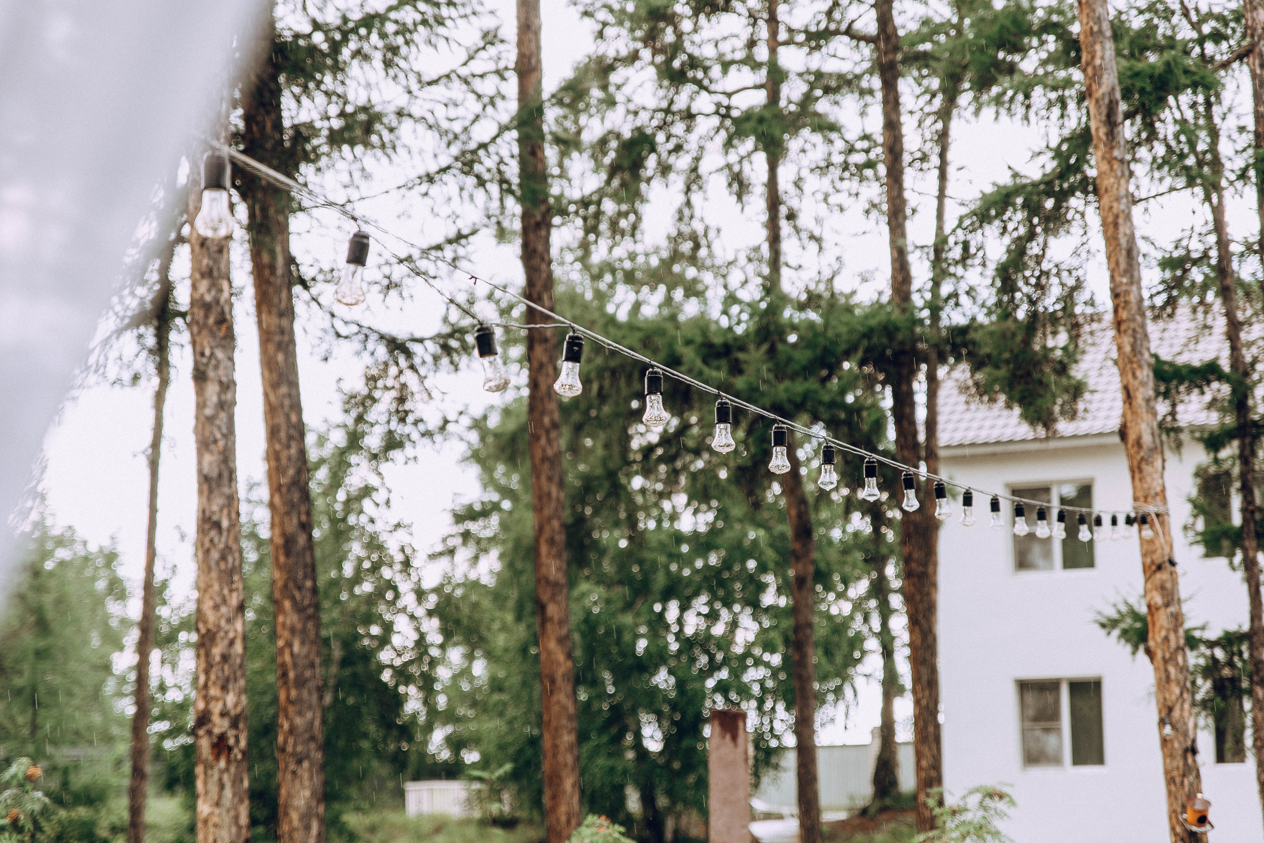 Егор и Катя. Свадебный и семейный фотограф в Чите Юлия Оранская