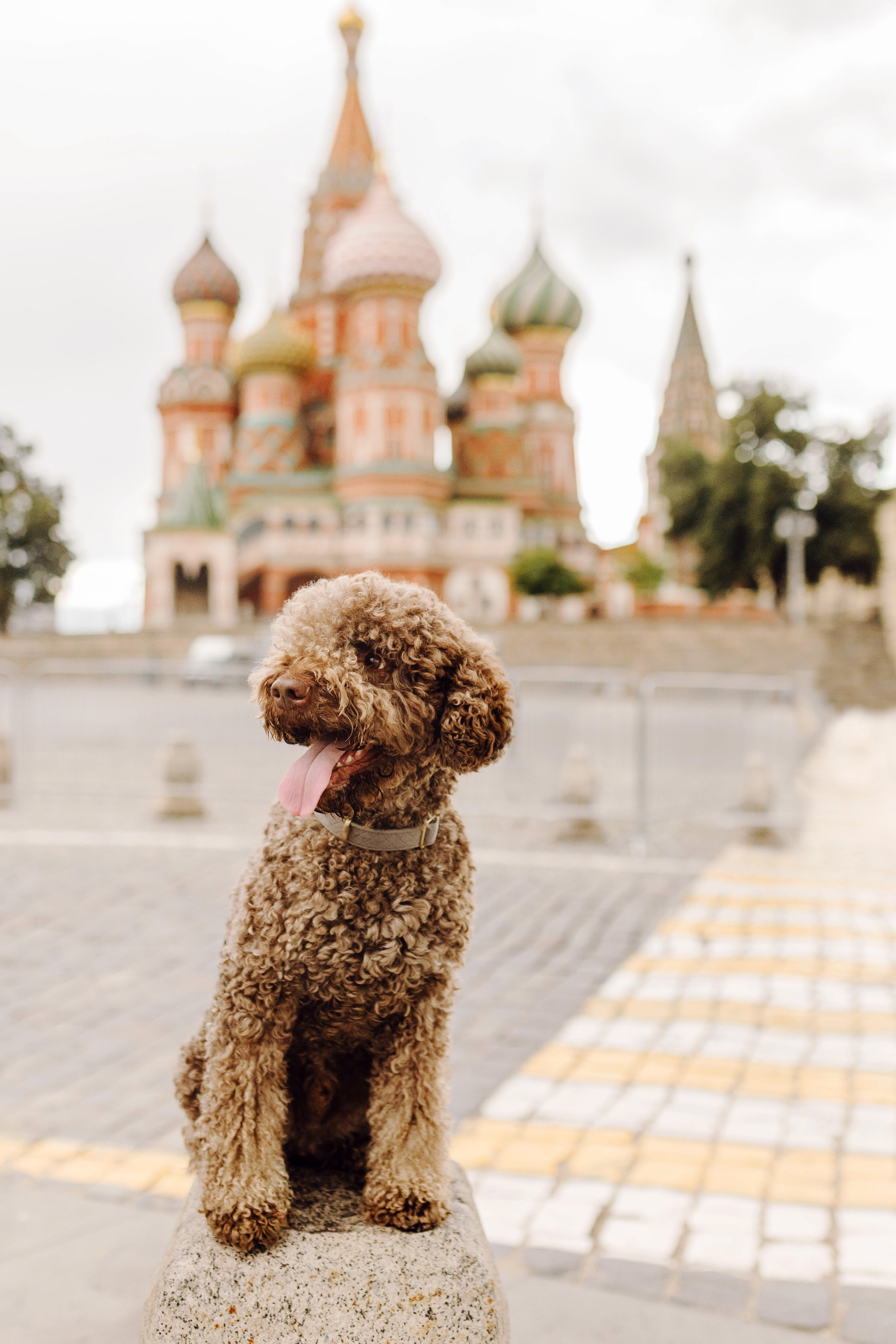 Москва / Амато и его семья. Фотограф Кузина Вера