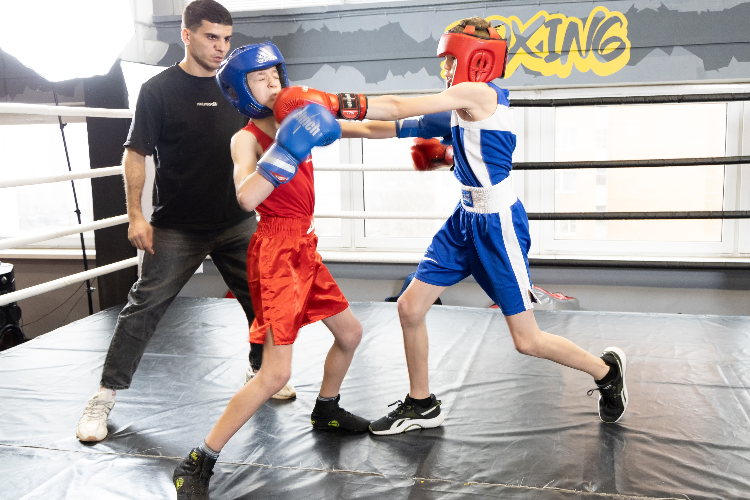 Бокс. Photomantis