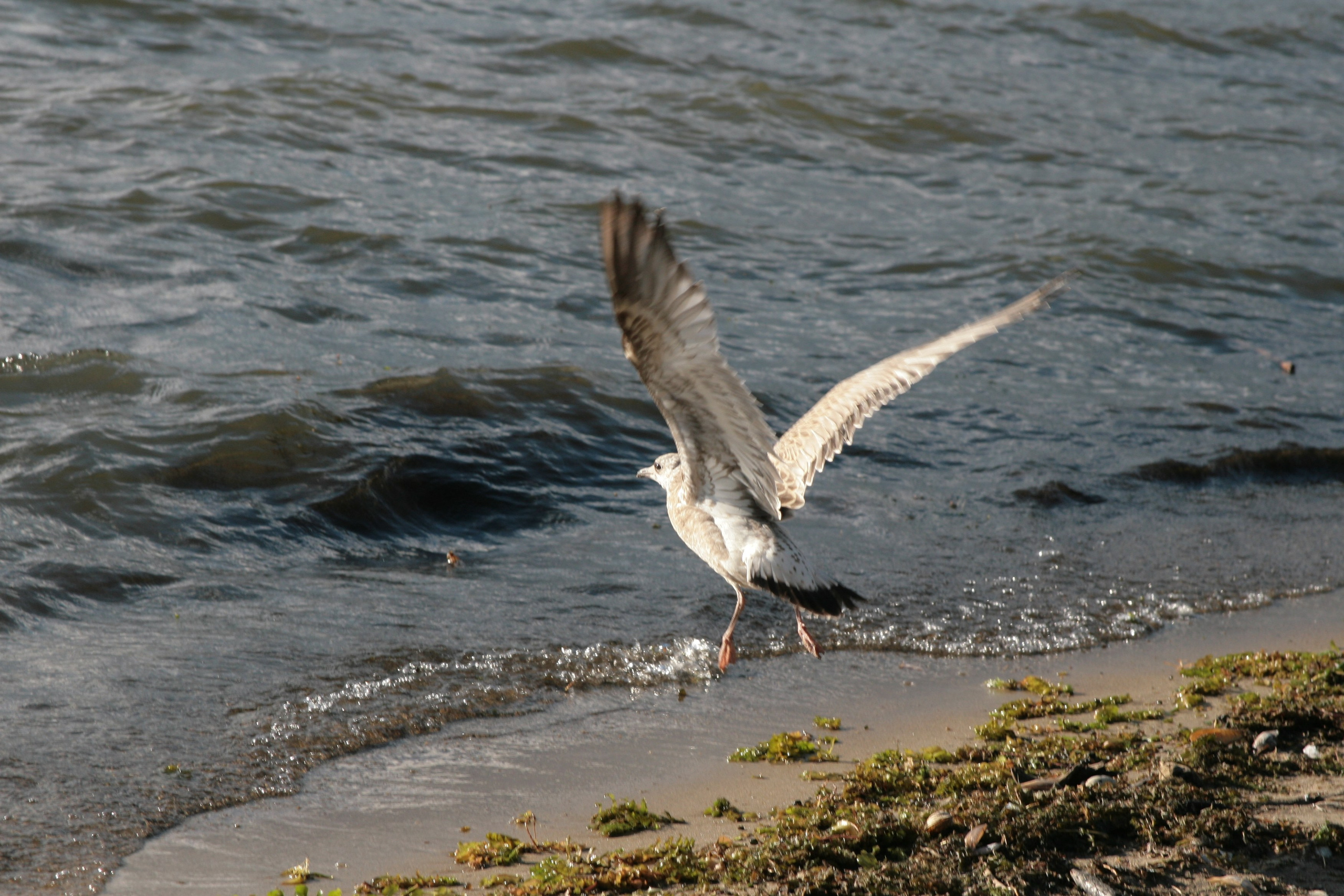 Фото Природы Забайкалья. Студия Максима Белослюдцева