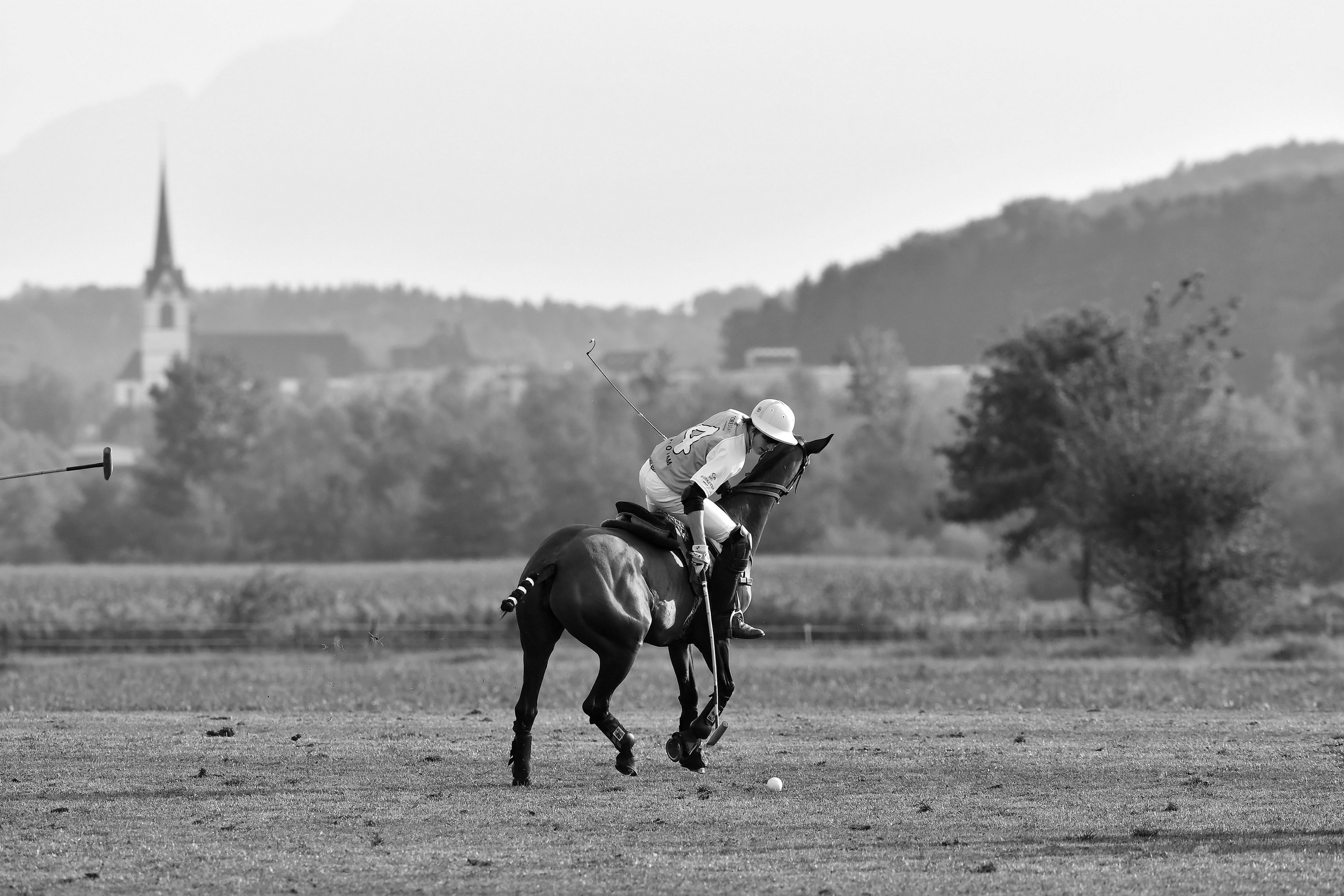 Polo art photos. Art photos of horses — ARTUR BABOEV | Photographer