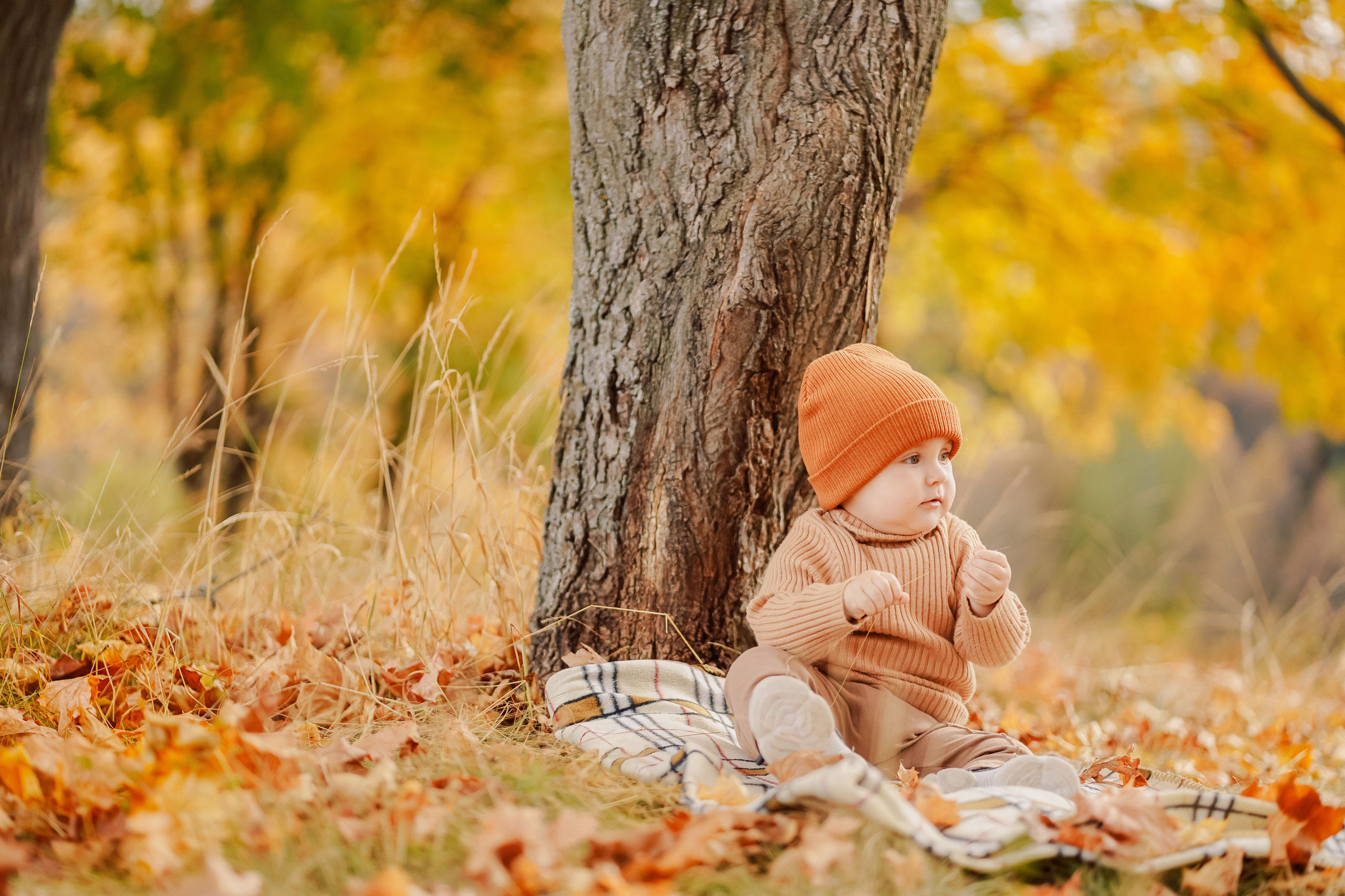 Осенняя прогулка
