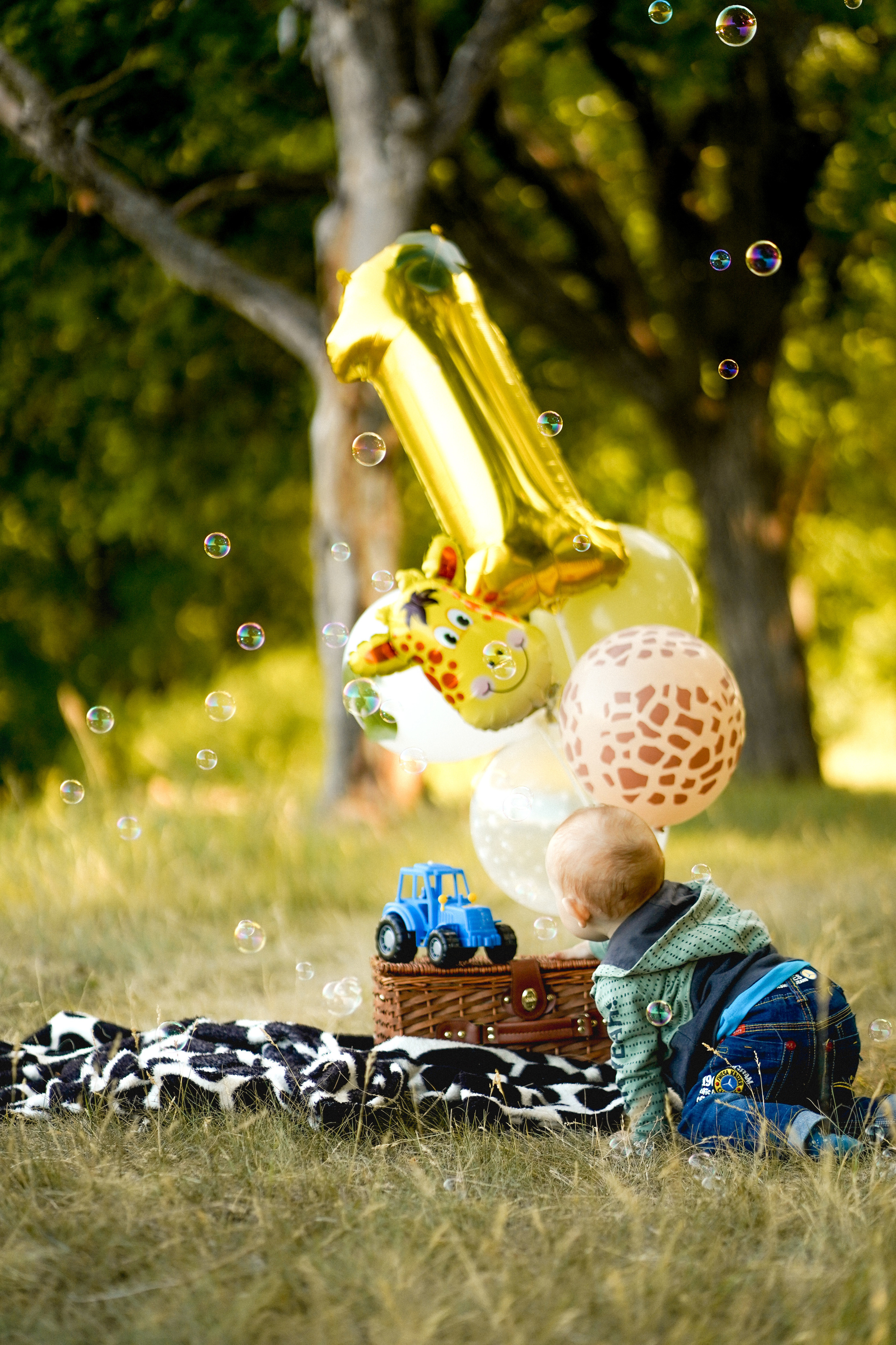 Доминику годик