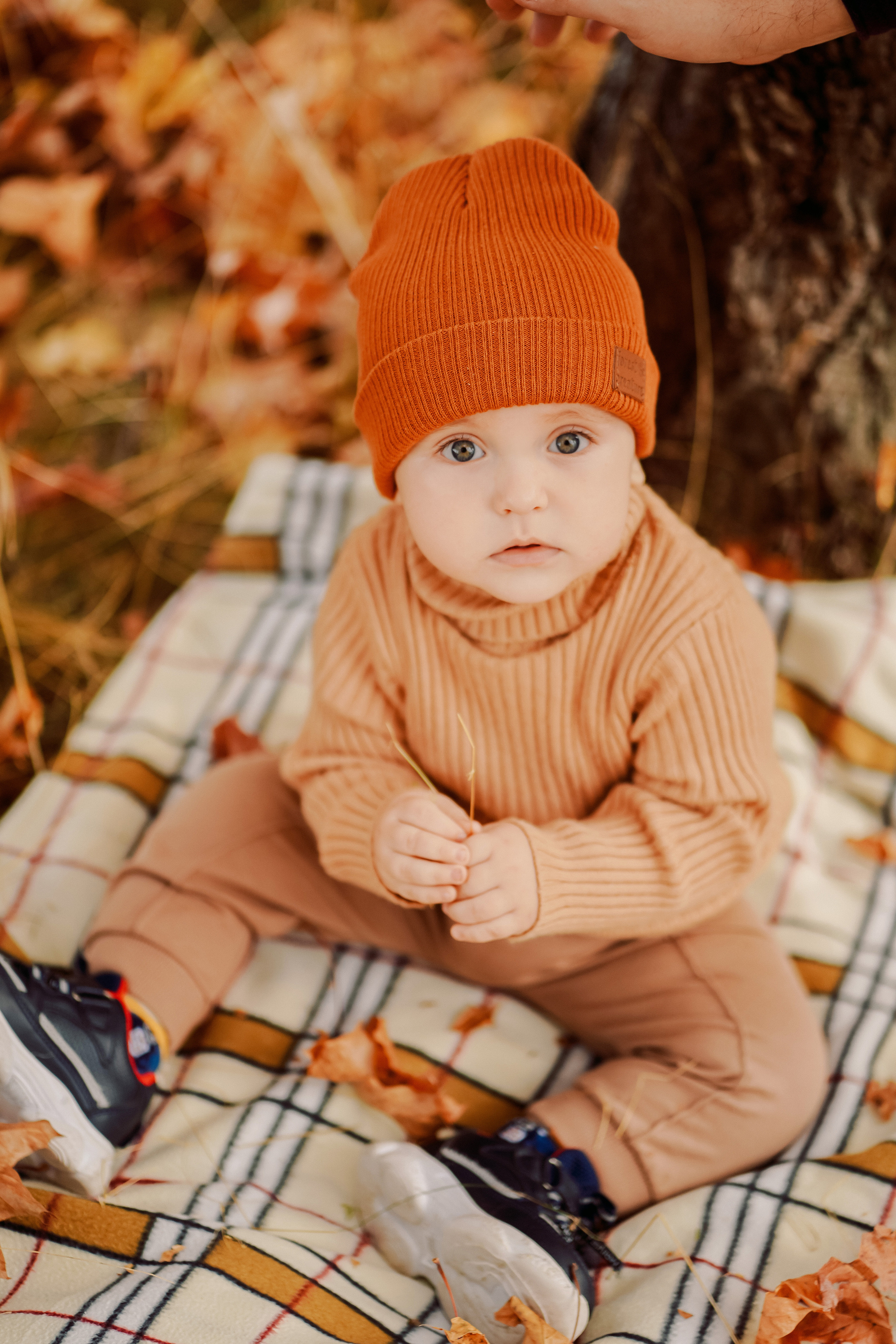 Осенняя прогулка