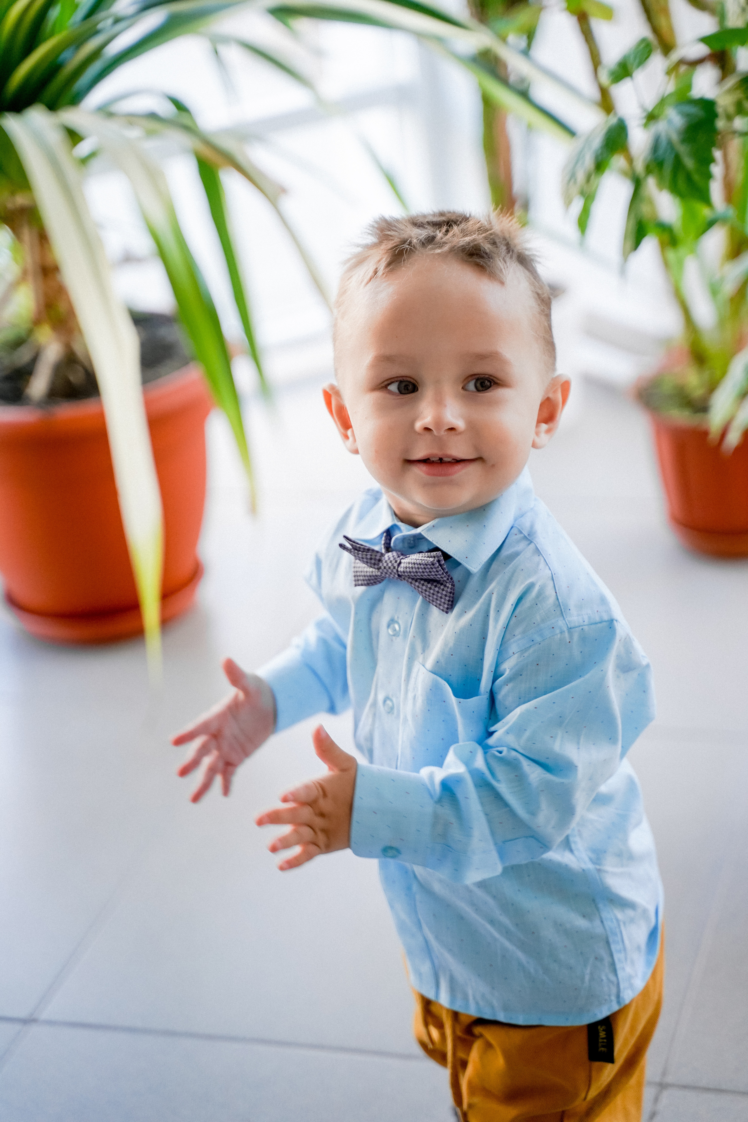 Свадебный день