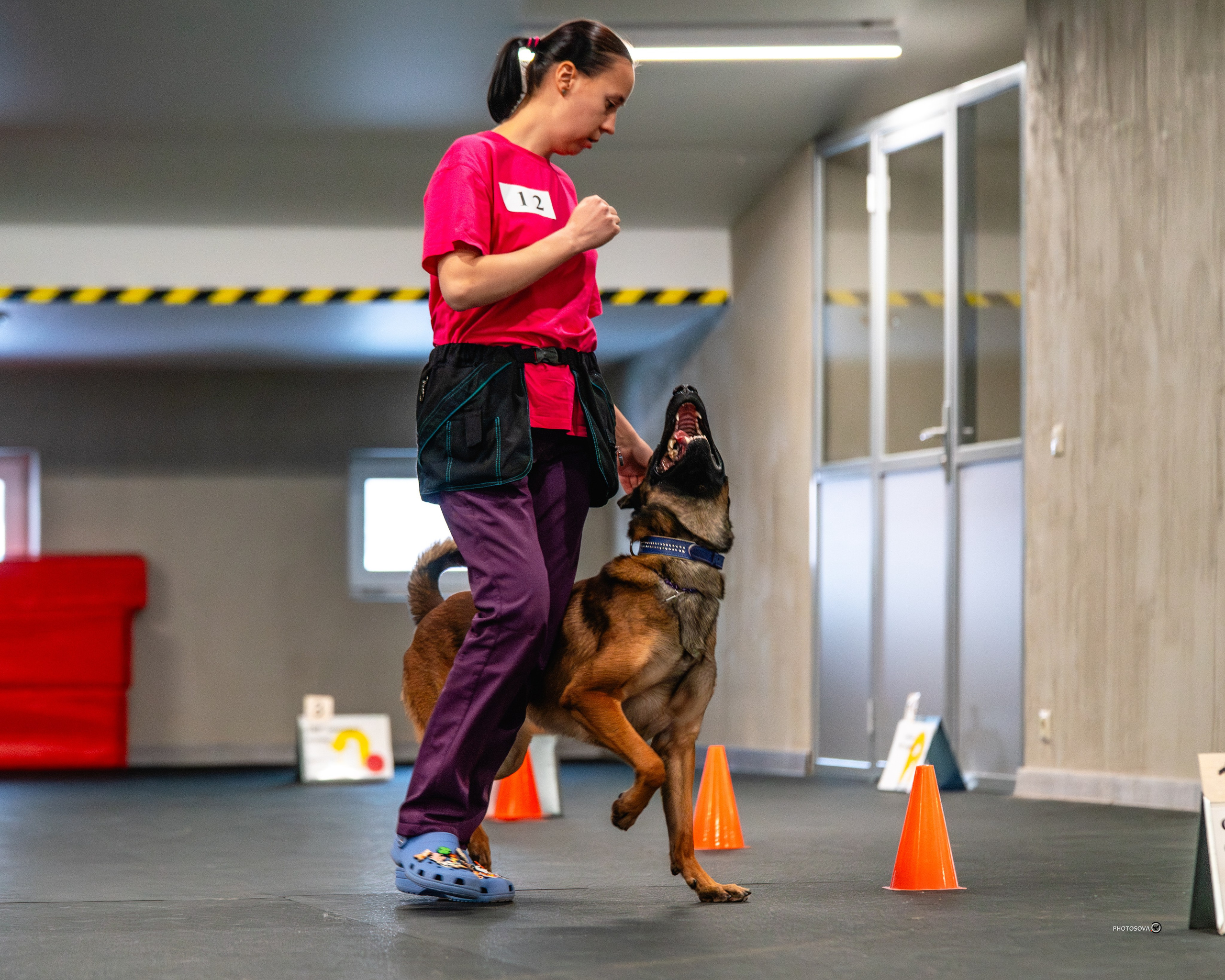 ТЫ И Я (соревнования по ралли-обидиенс). Фотограф-анималист, семейный фотограф в Москве и Подмосковье. Фотосъёмка кинологических дисциплин