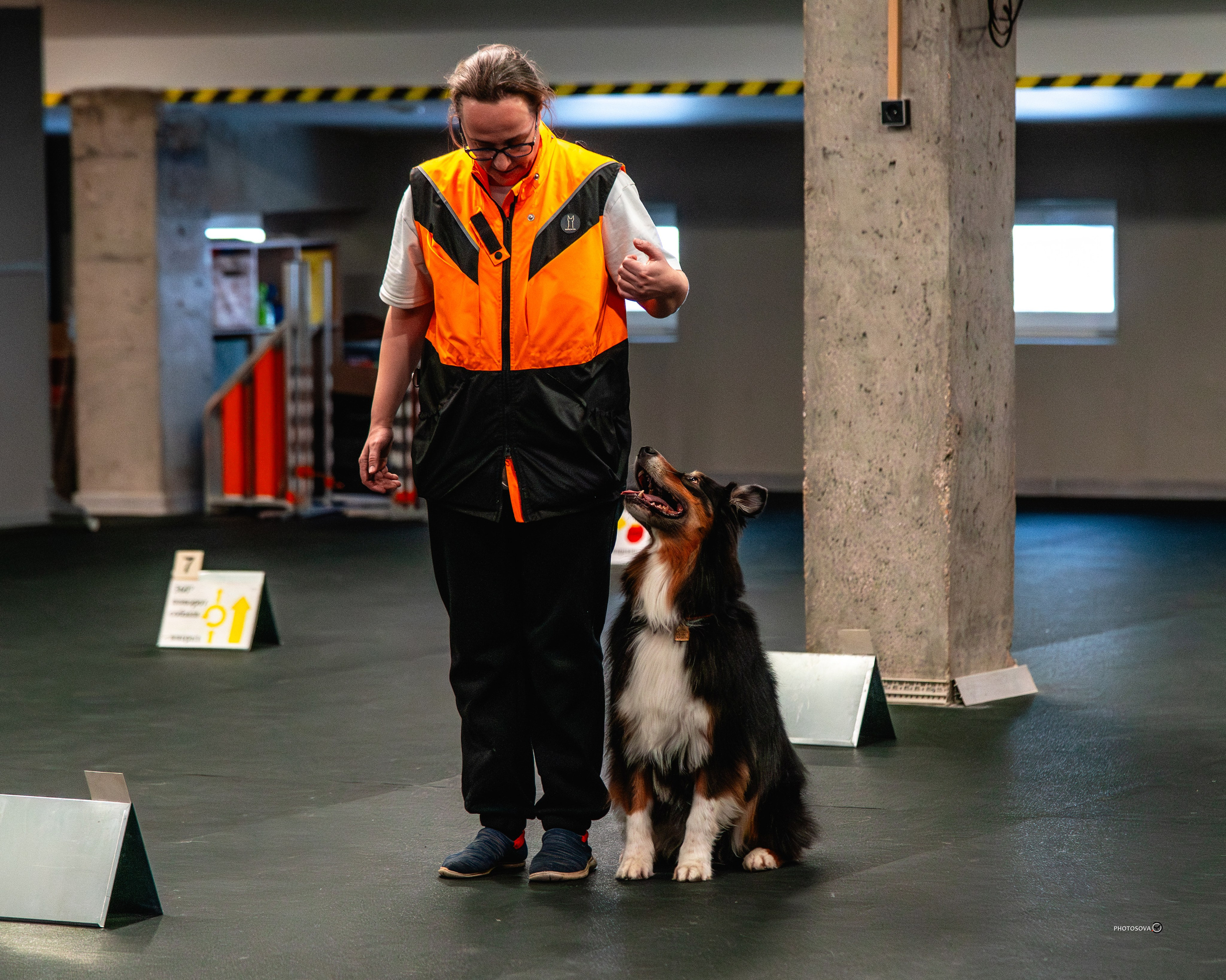 ТЫ И Я (соревнования по ралли-обидиенс). Фотограф-анималист, семейный фотограф в Москве и Подмосковье. Фотосъёмка кинологических дисциплин