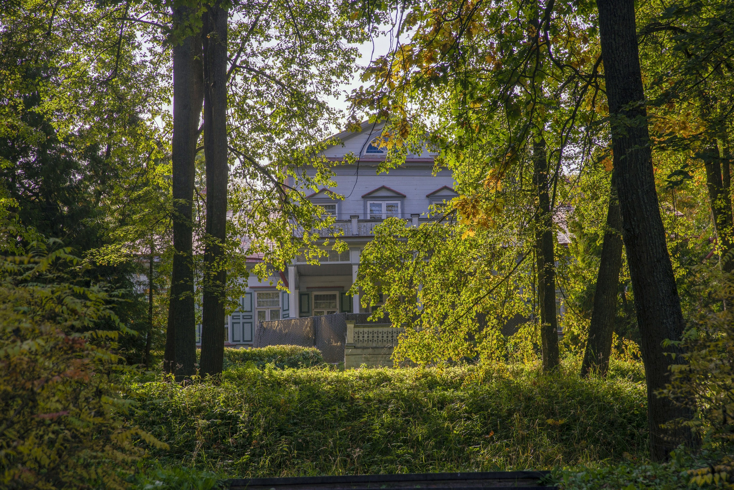 Абрамцево. Сентябрь 2023. Игорь Жучков. Россия увиденная глазами путешествующего фотографа