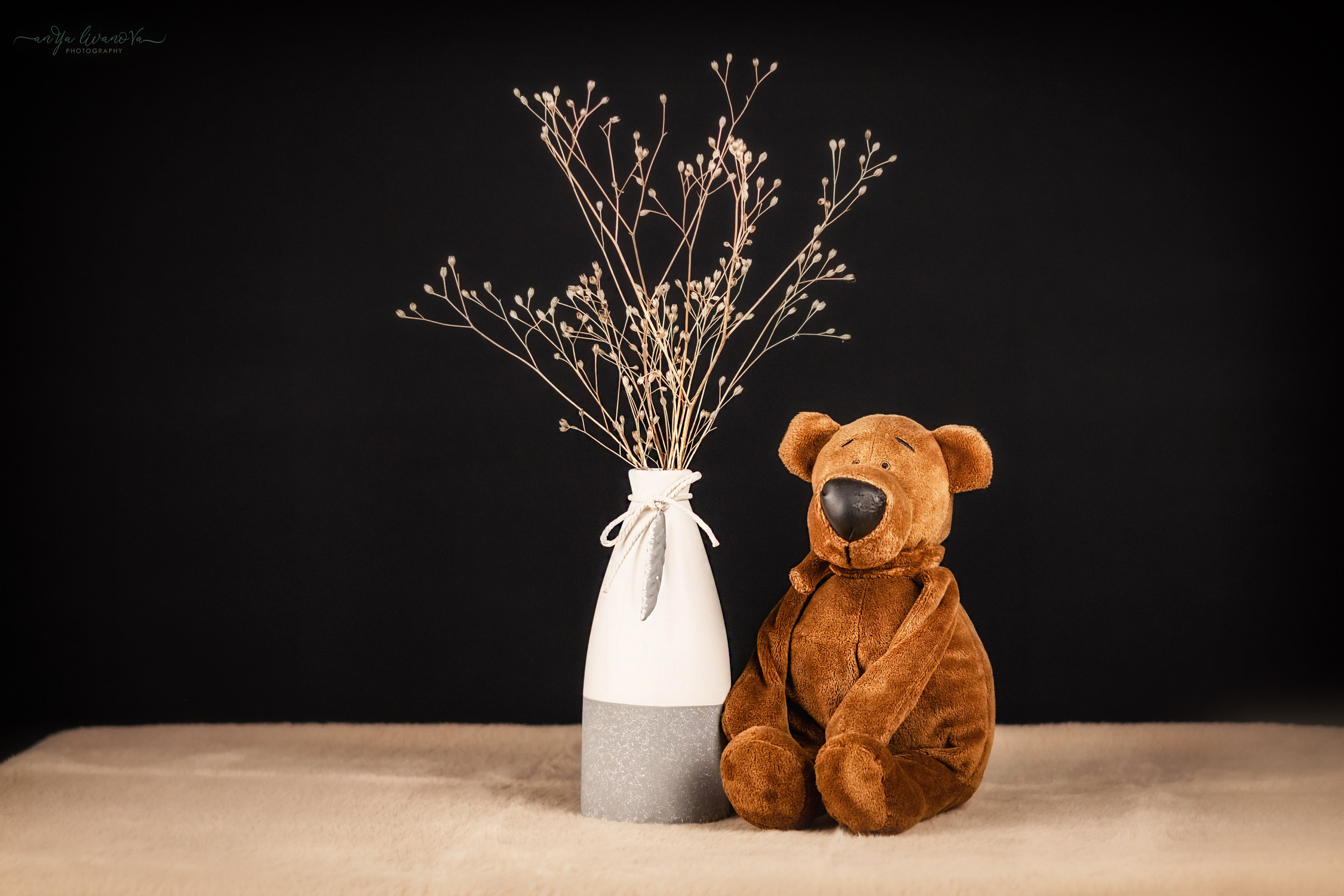 Черный фон. Фотограф анималист Аня Ливанова | Рыбинск