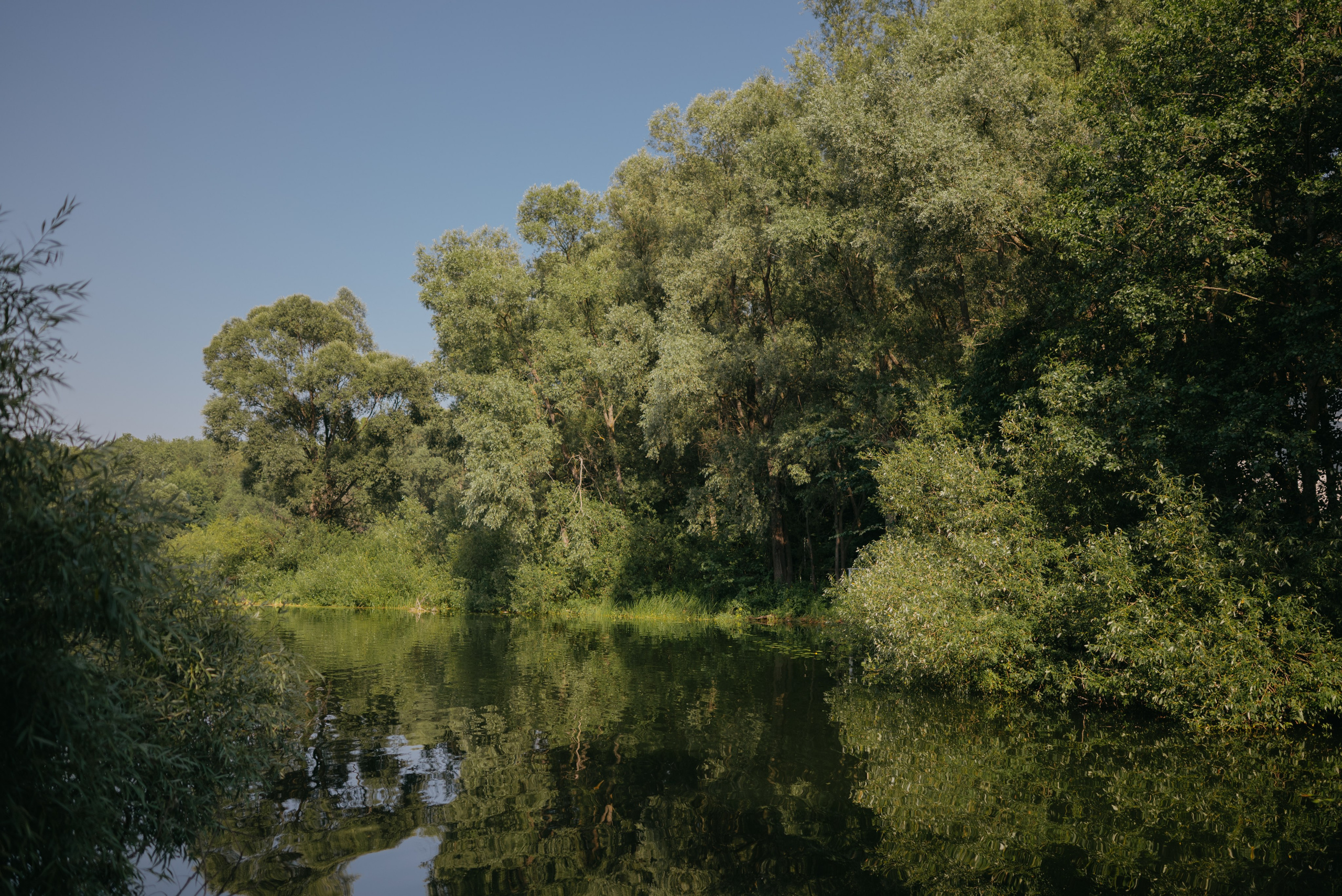 Тимур и Регина. Свадебный фотограф Уфа Дарья Насырова