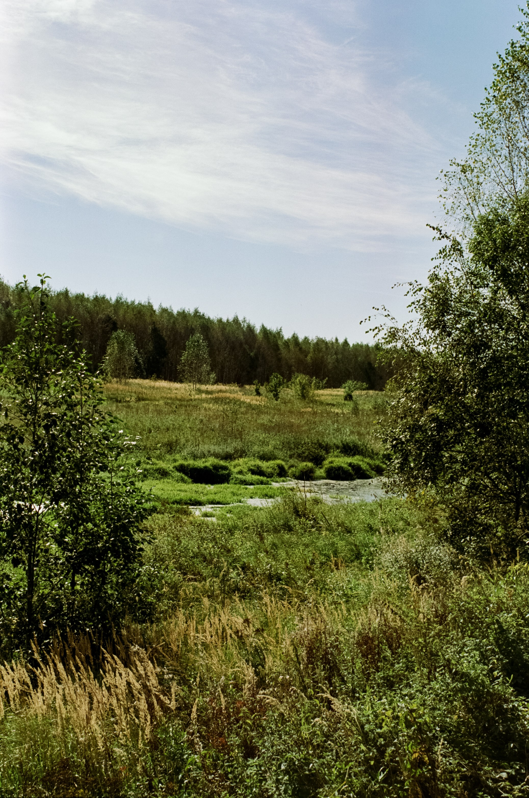 Mamiya 645 PRO обзор и примеры фотографий