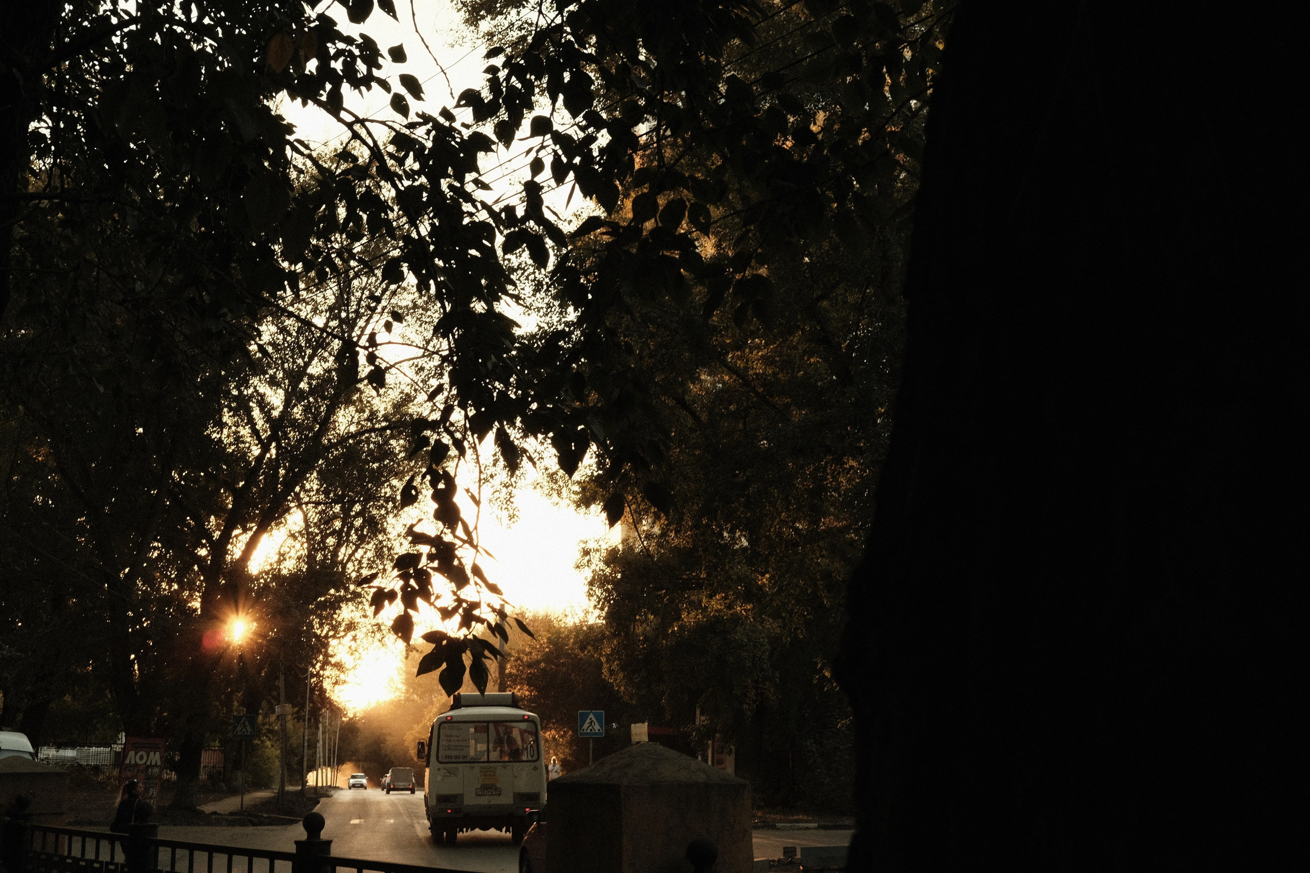 Наблюдения. Семейный фотограф в Новосибирске Артём Кузнецов